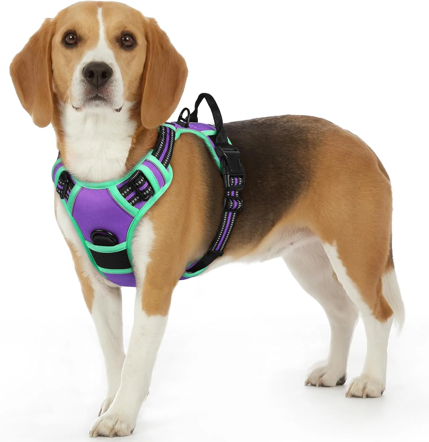 Durable Eagloo Dog Harness Small Sized Dog No Pull Service Vest with Reflective Strips and Control Handle Adjustable and Comfortable for Walking No Choke Pet Harness with 2 Metal Rings Purple Green S Contemporary