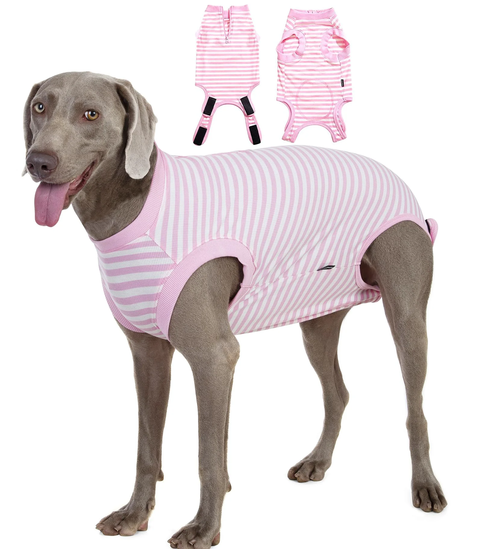 Sustainable Wabdhaly Recovery Suit for Dogs – Cone for Post-Surgery Healing High-End