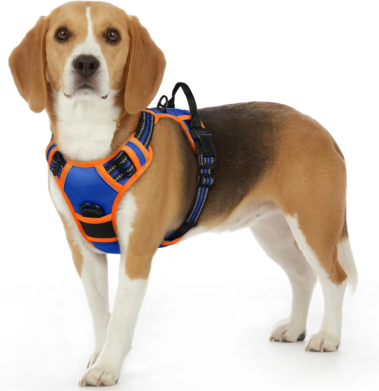 Quality Eagloo Dog Harness Small Sized Dog No Pull Service Vest with Reflective Strips and Control Handle Adjustable and Comfortable for Walking No Choke Pet Harness with 2 Metal Rings Blue Orange S Contemporary