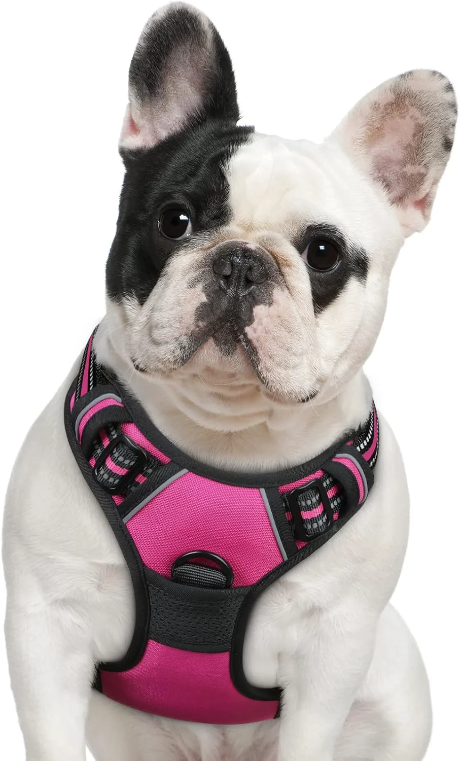 Long-Lasting Eagloo Dog Harness Medium Sized Dog No Pull Service Vest with Reflective Strips and Control Handle Adjustable and Comfortable for Walking No Choke Pet Harness with 2 Metal Rings Rose Red M Fashionable