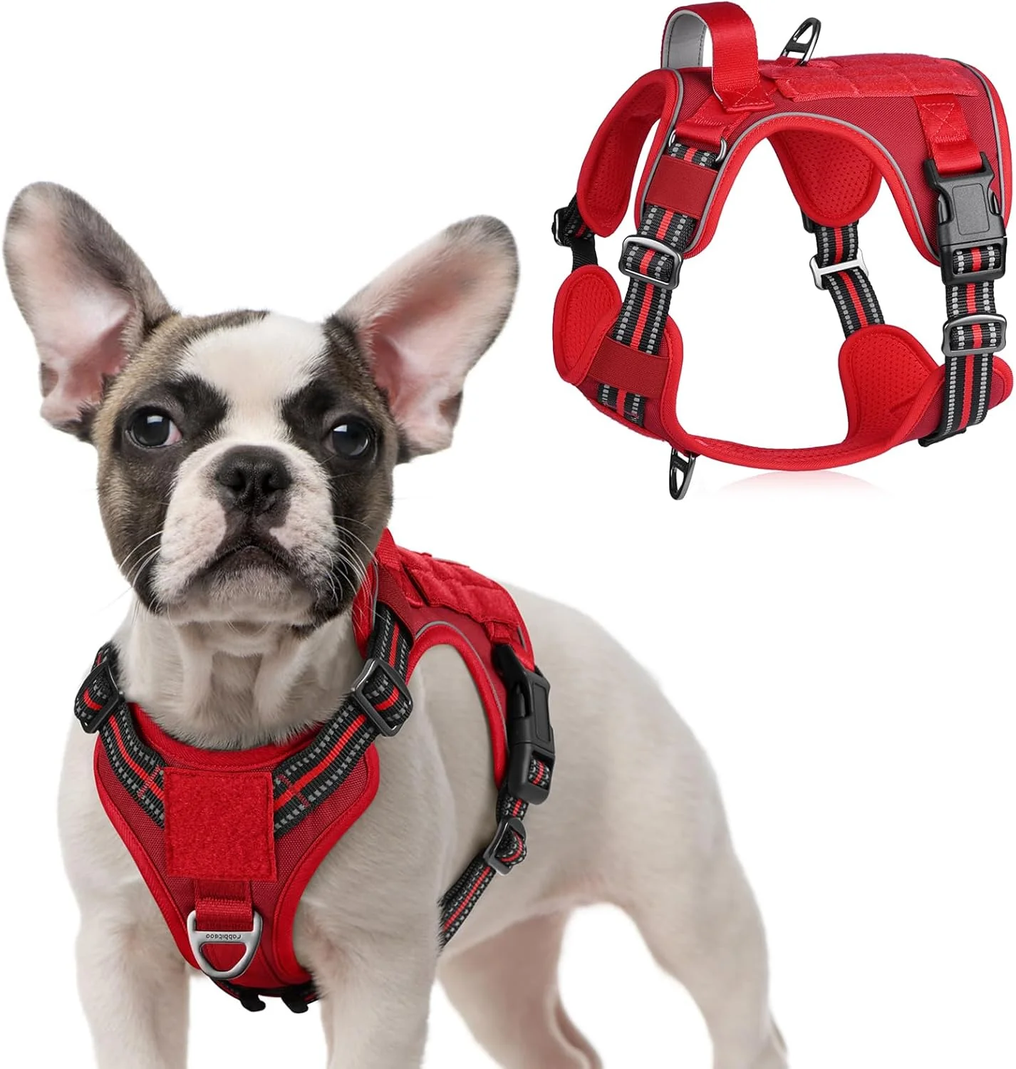 Expertly Made rabbitgoo Tactical Dog Harness for Small Dogs No Pull Military Service Vest with Handle Molle Easy Control for Training Walking Adjustable Reflective Straps Red S Proven