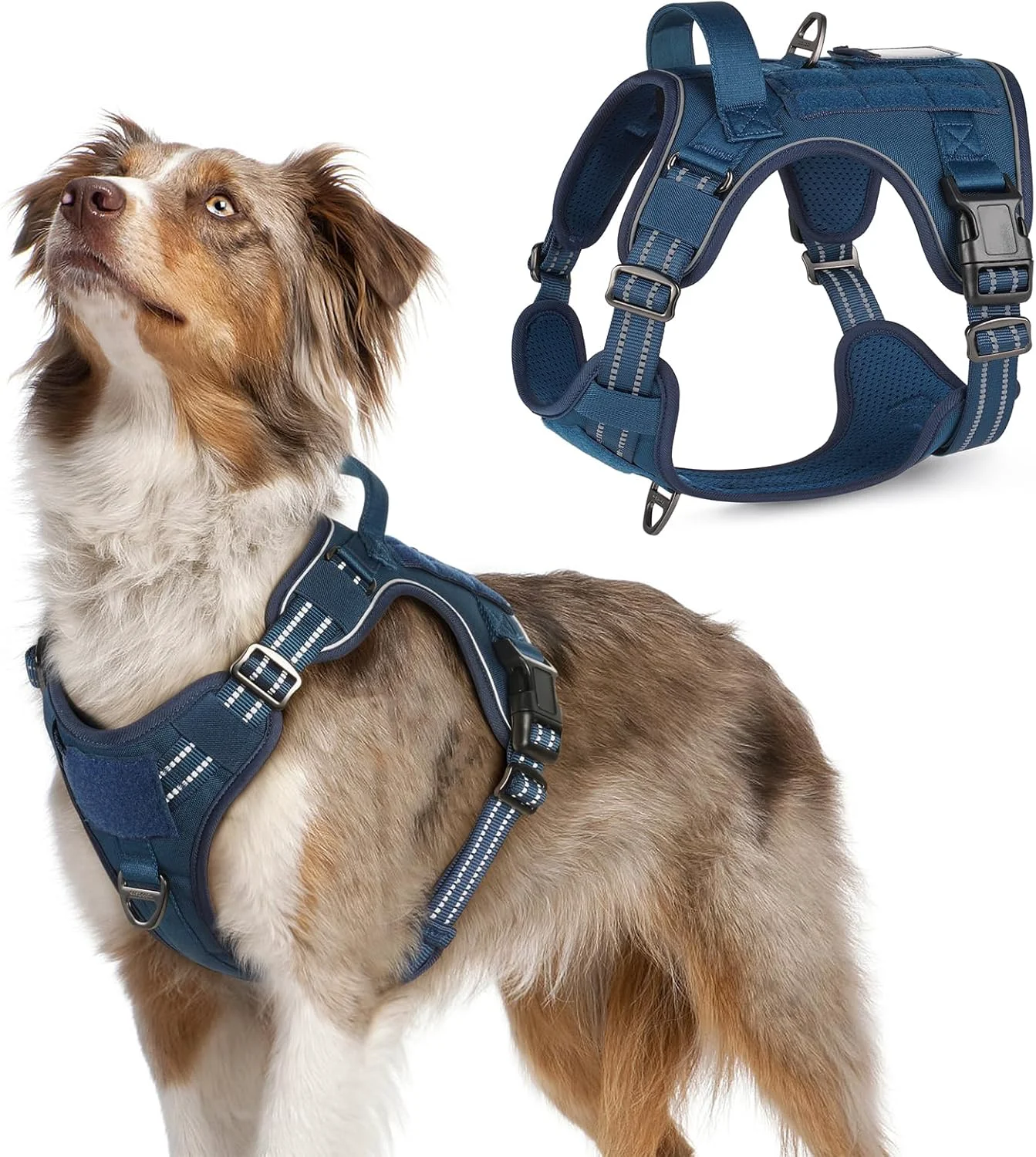 Green rabbitgoo Dog Harness No Pull Military Dog Harness Medium Sized Dog with Handle Molle Easy Control Service Dog Vest Harness Training Walking Adjustable Reflective Tactical Pet Harness Blue M Authentic