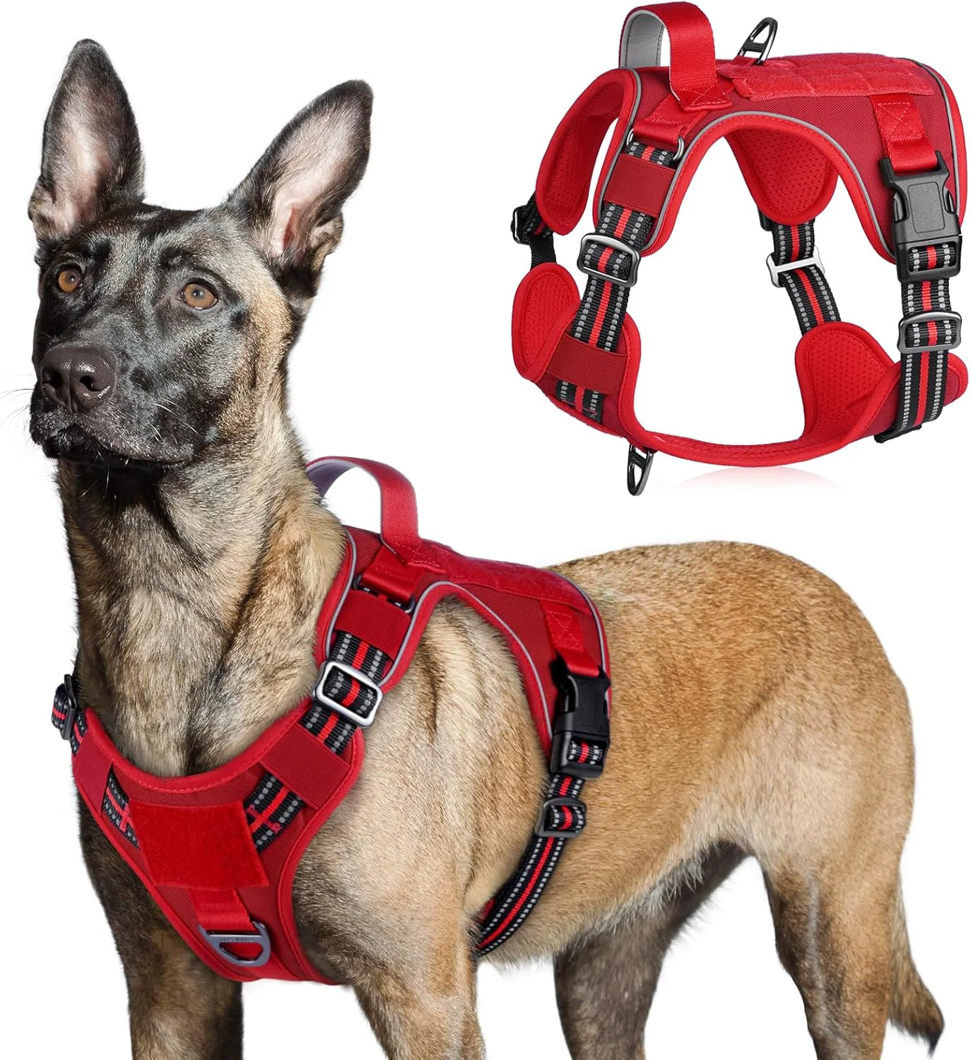 Safe rabbitgoo Tactical Dog Harness for Large Dogs No Pull Military Service Vest with Handle Molle Easy Control for Training Walking Adjustable Reflective Straps Red L Fashionable