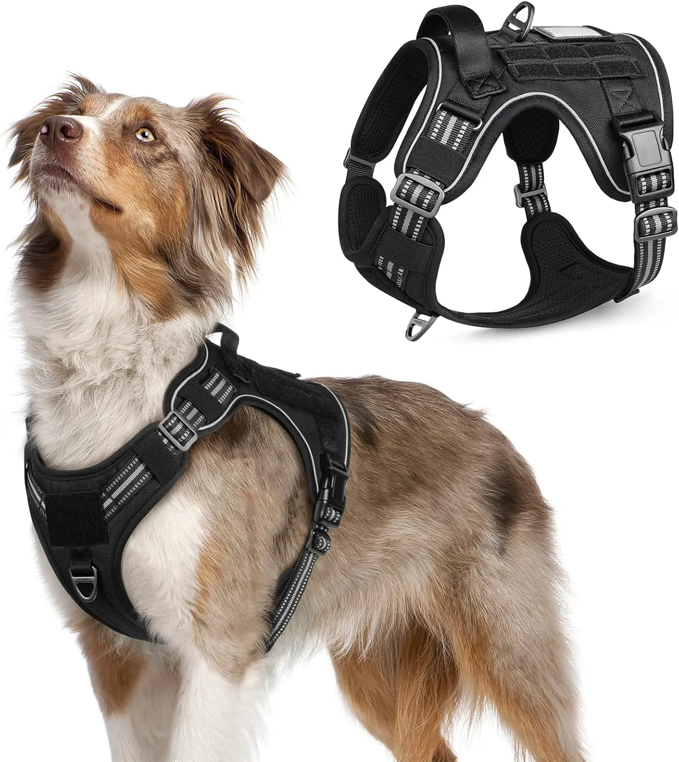 Durable rabbitgoo Dog Harness No Pull Military Dog Harness Medium Sized Dog with Handle Molle Easy Control Service Dog Vest Harness Training Walking Adjustable Reflective Tactical Pet Harness Black M Sophisticated