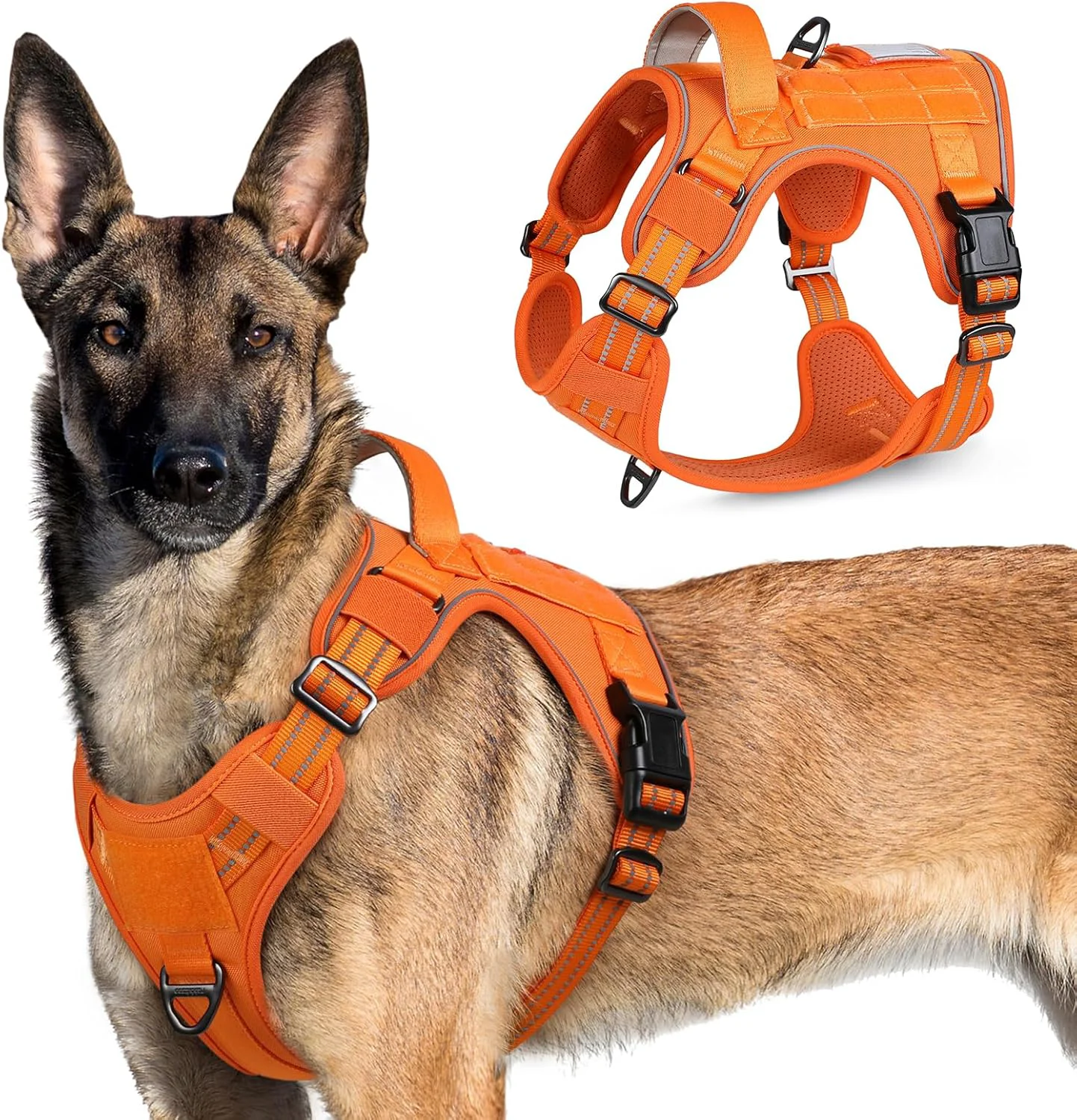 Responsible rabbitgoo Tactical Dog Harness for Large Dogs No Pull Military Service Vest with Handle Molle Easy Control for Training Walking Adjustable Reflective Straps Orange XL Clean