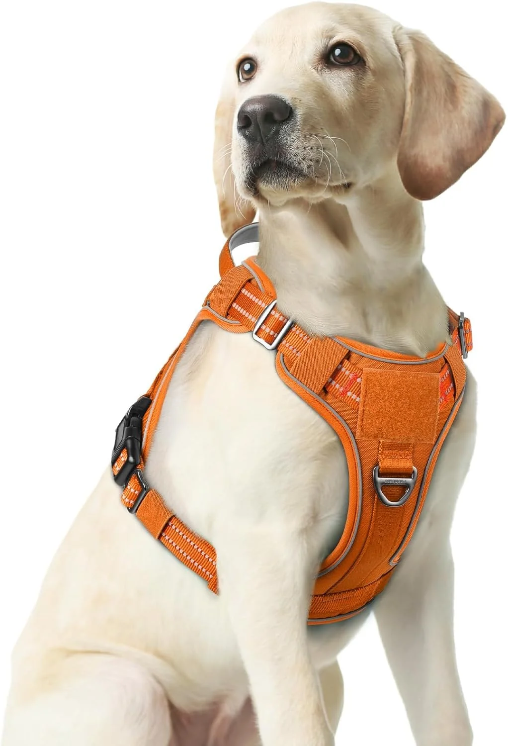 Comfortable rabbitgoo Dog Harness Medium Sized No Pull Tactical Service Pet Vest with Molle and Control Handle Adjustable and Reflective Military Harness for Easy Walking and Training Orange M Classic