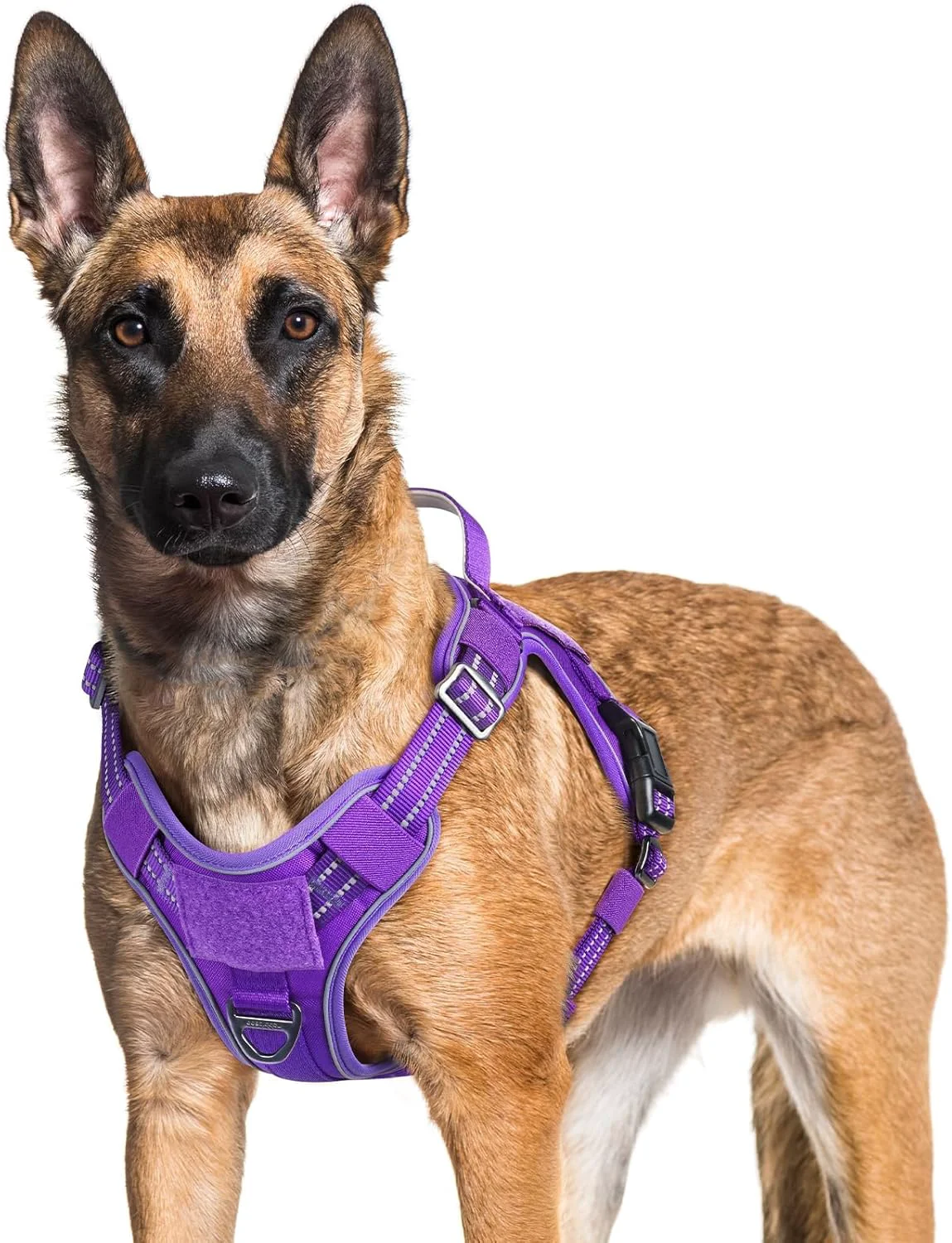 Lightweight rabbitgoo Dog Harness for Large Dogs No Pull Tactical Service Pet Vest with Molle and Control Handle Adjustable and Reflective Military Harness for Easy Walking and Training Purple XL Recyclable