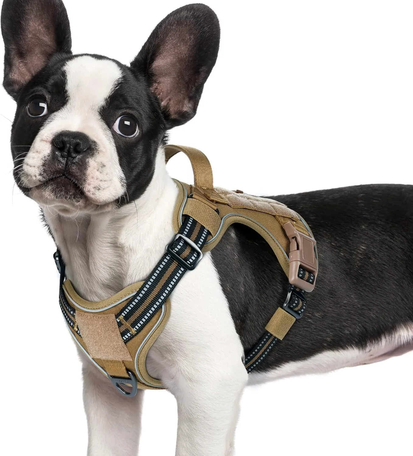 Proven rabbitgoo Dog Harness Small Sized No Pull Tactical Service Pet Vest with Molle and Control Handle Adjustable and Reflective Military Harness for Easy Walking and Training Brown S Smooth