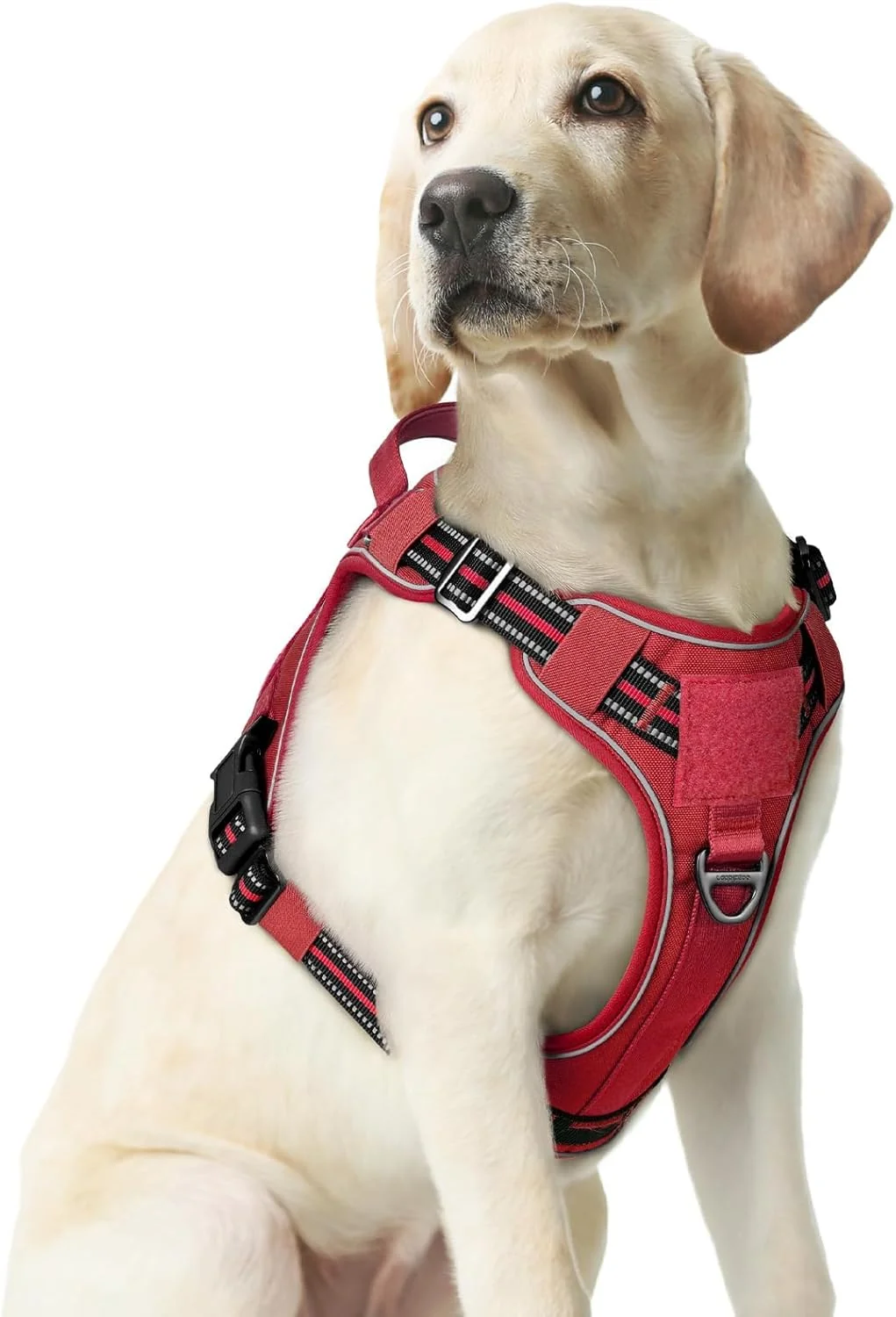 Fine rabbitgoo Dog Harness Medium Sized No Pull Tactical Service Pet Vest with Molle and Control Handle Adjustable and Reflective Military Harness for Easy Walking and Training Red M Safe