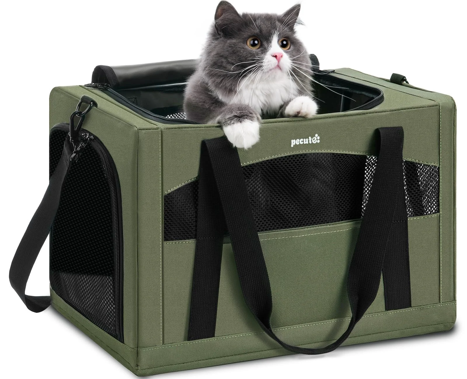 Premium Pecute Cat Carrier Stale – Breathable Portable Carrier with Hidden Partition Under 11lbs – Green Luxury