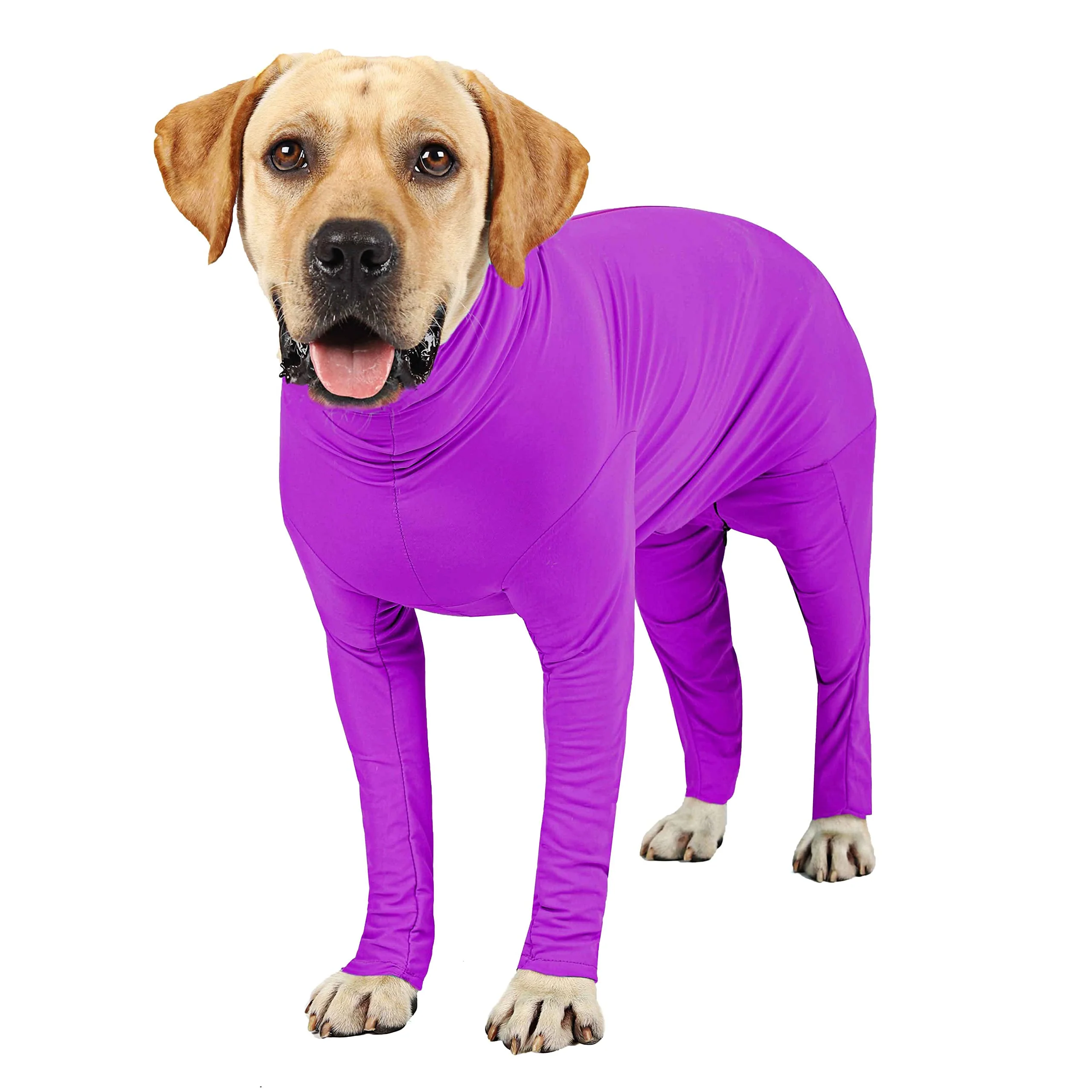 Solid ETDANE Recovery Suit for Dogs – Purple XL Post-Surgery Oniesie Traditional
