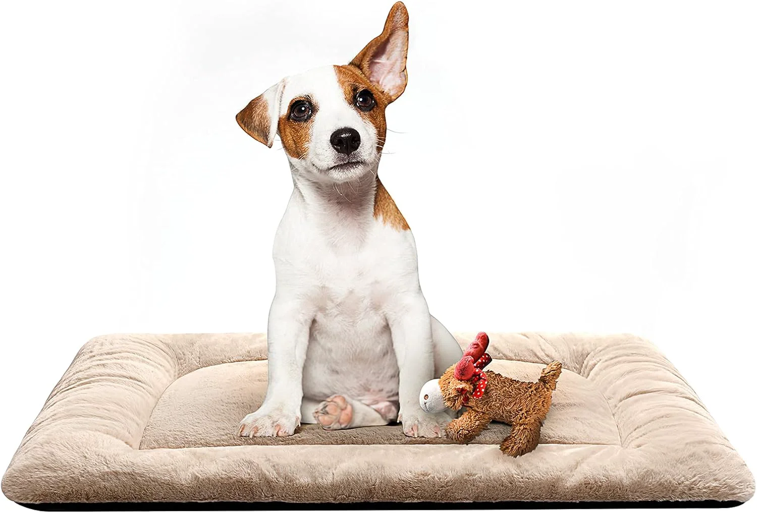 Stylish Cozy Dog Bed Crate Pad Medium Sized Dogs Fit Metal Crates Ultra Soft Washable Anti-Slip Cream 30inch High-Grade