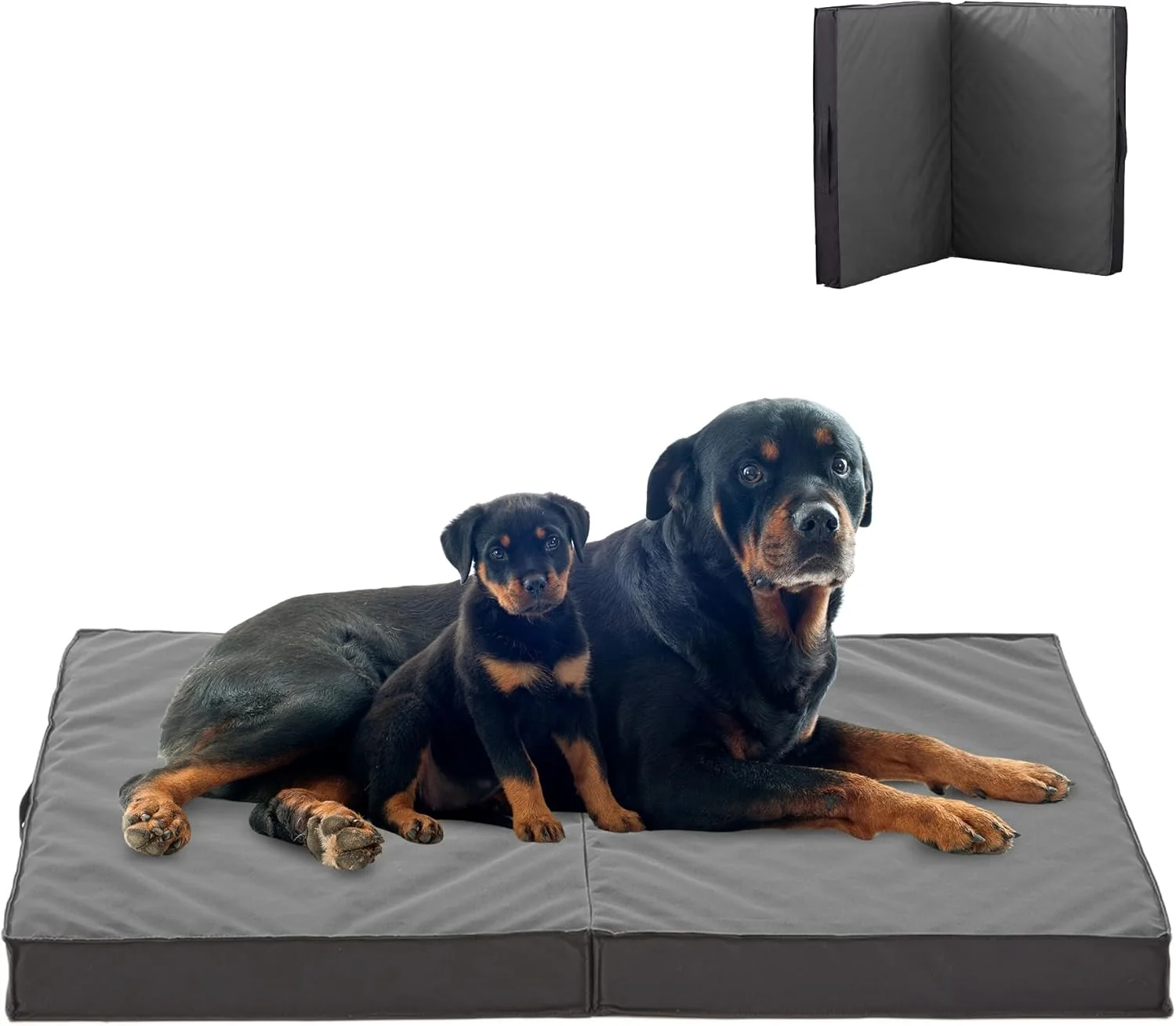 Eco-Friendly Outdoor Dog Bed for Large Dogs Waterproof Washable Foldable Orthopedic 41 All Weather Top-Quality