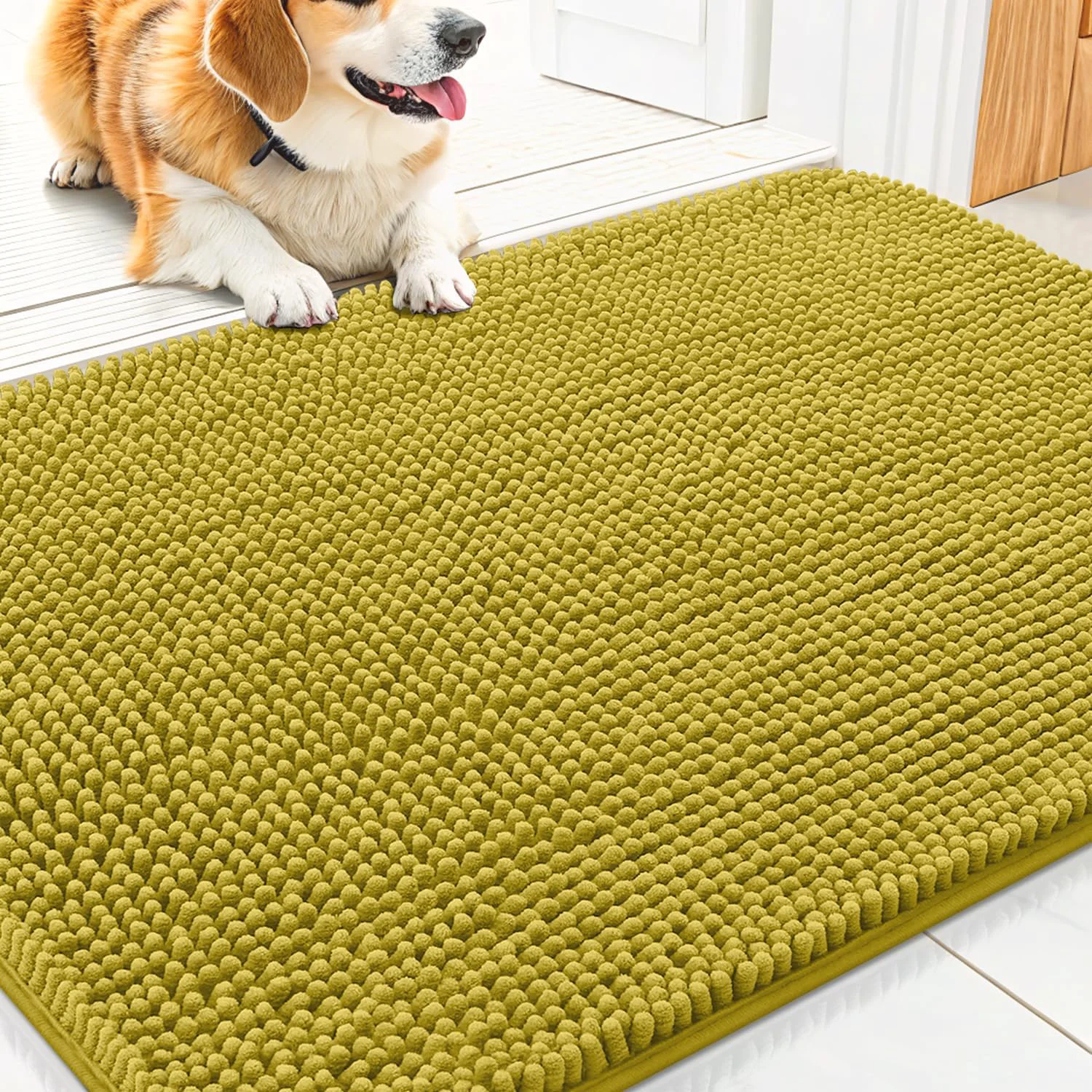Outstanding Smiry Dog Door Mat for Muddy Paws 30x20 Absorbs Moisture Trusted