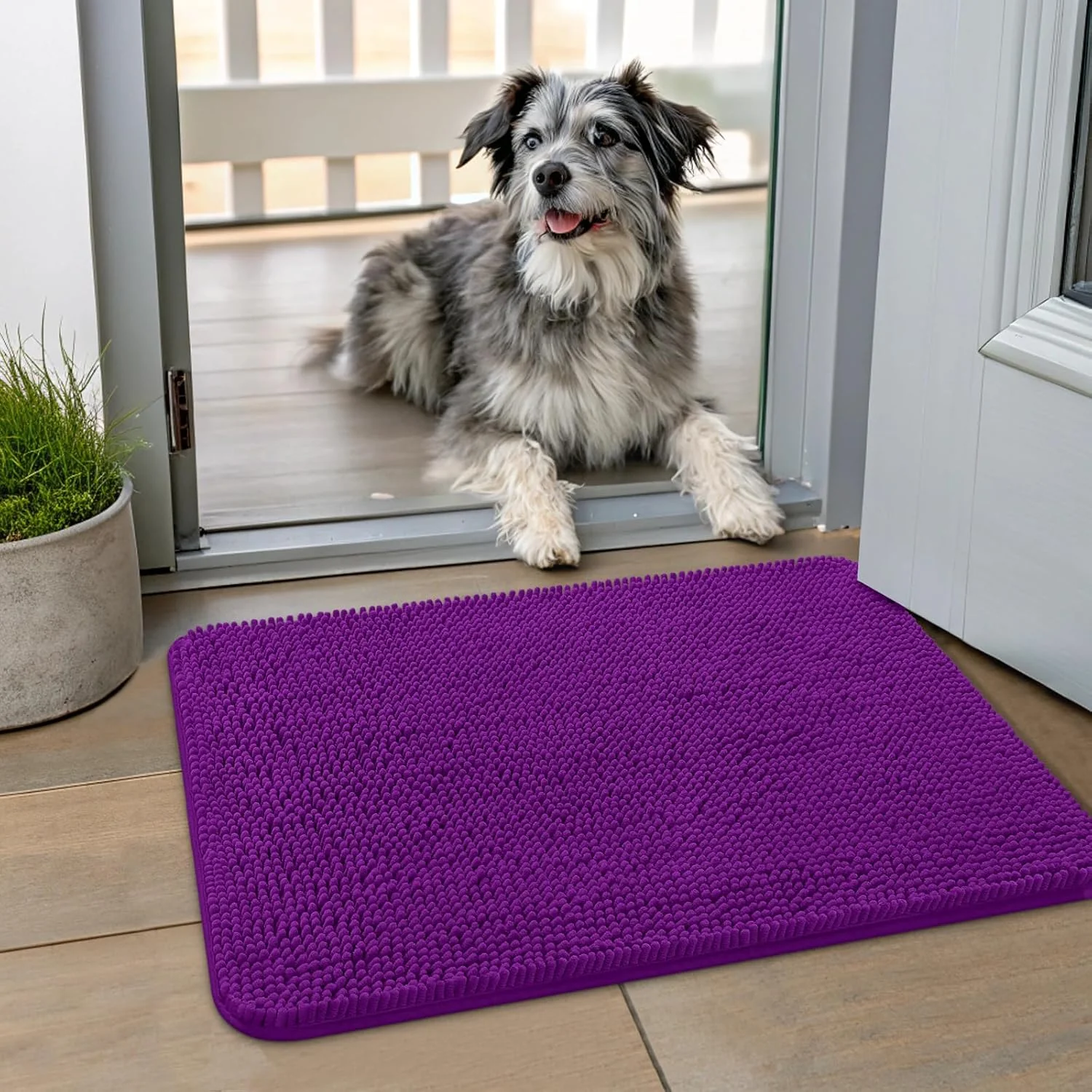 High-Performance Smiry Dog Door Mat for Muddy Paws 24x16 Absorbs Moisture and Dirt Doormat Non-Slip Washable Quick Dry Chenille Front Door Mat Indoor Entrance Entryway Carpet for Inside Floor Purple Relaxed