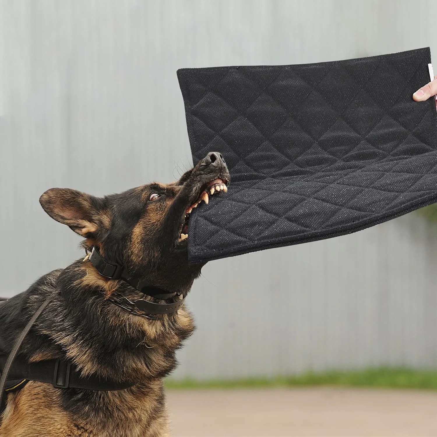 Professional MABOZOO Indestructible Dog Bed Chew Proof Crate Pad for Aggressive Chewers Machine Washable Quilted Mat Durable for Medium Dogs Black Kennel Pad 28x41 in Healthy