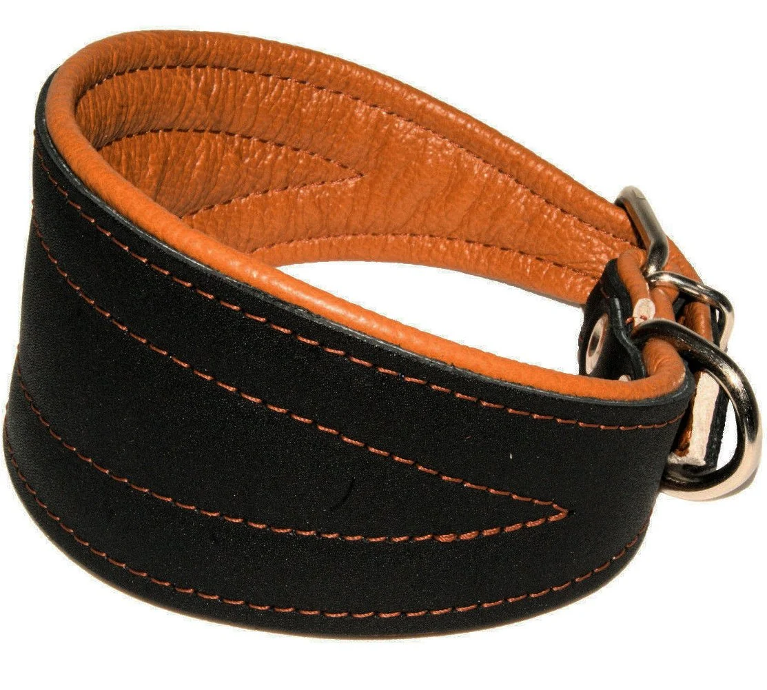 Sustainable Dogs My Love Leather Extra Wide Padded Tapered Dog Collar Glossy Black Contemporary