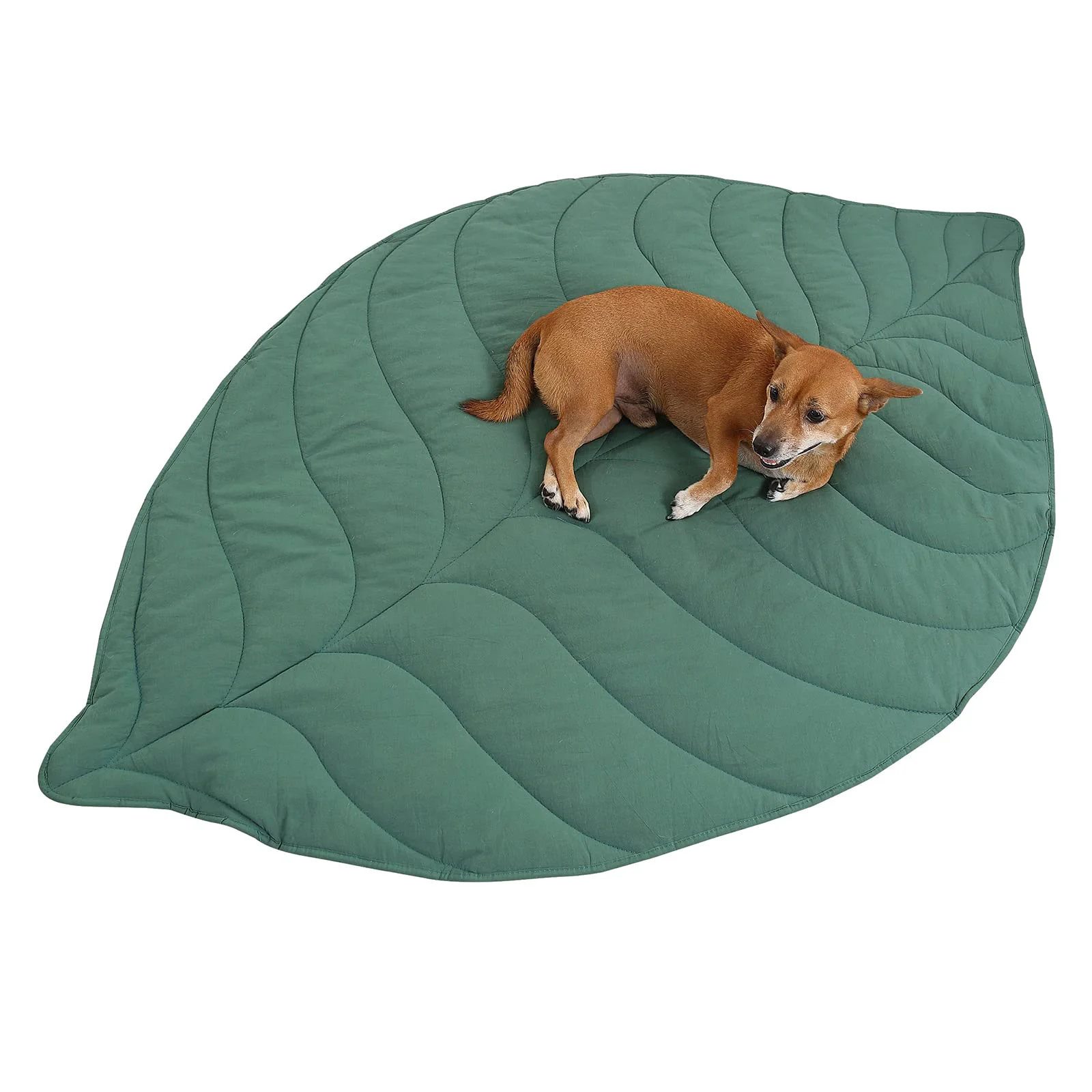 Effective Letalong 56x42 Inch Leaf Shaped Cotton Dog Blanket – Extra Large Plush Pet Blanket for Couch Protection Eco-Friendly