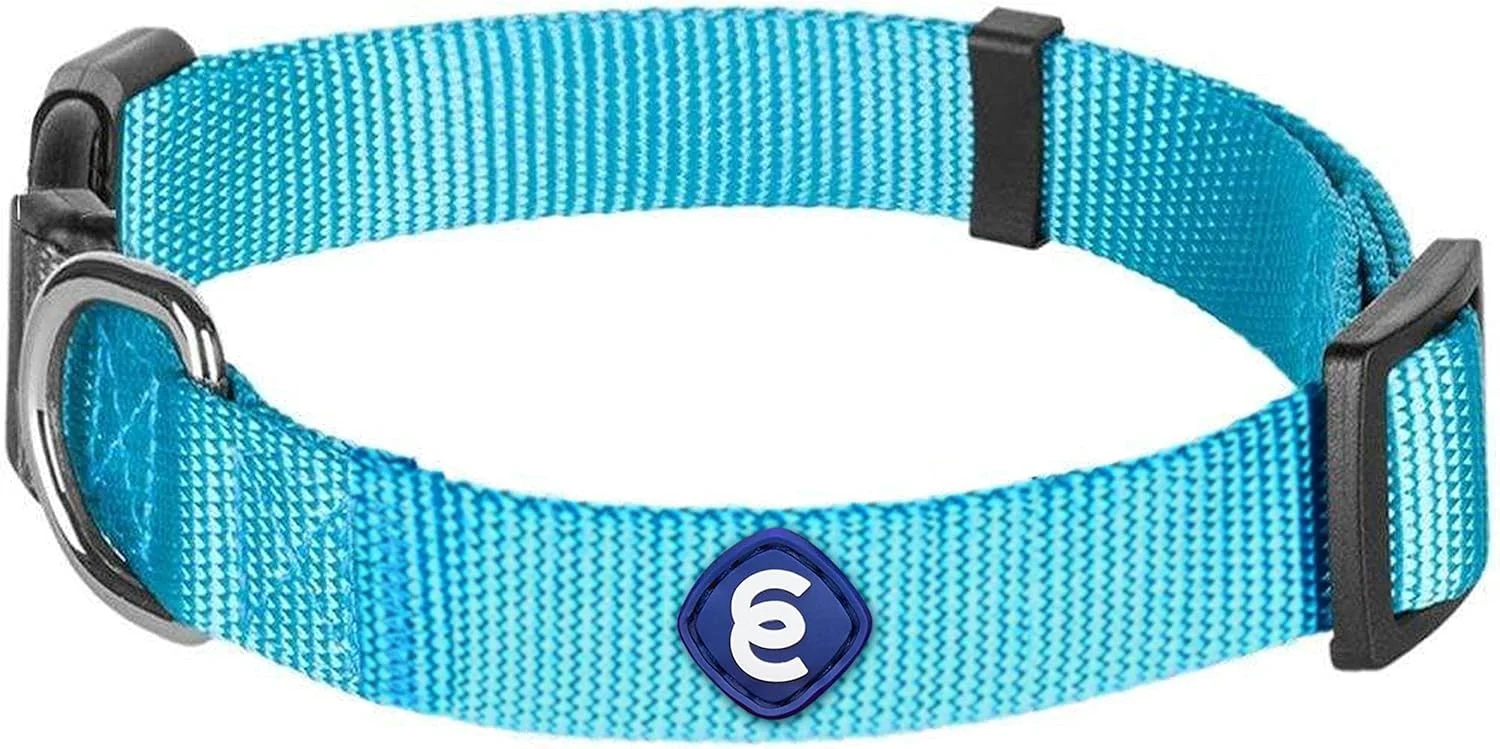 Environmentally Friendly Blueberry Pet Essentials X-Small Dog Collar in Turquoise Adjustable Eco-Friendly Durable Nylon Strap Classic Collar for X-Small Dogs Boy Girl Pets Breathable