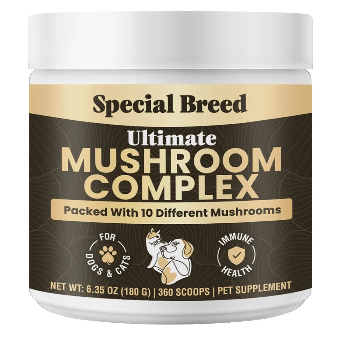 High-Performance Special Breed Mushroom Powder for Dogs Cats – Organic 10-Mushroom Blend Immunity Cognition 360 Scoops Elite