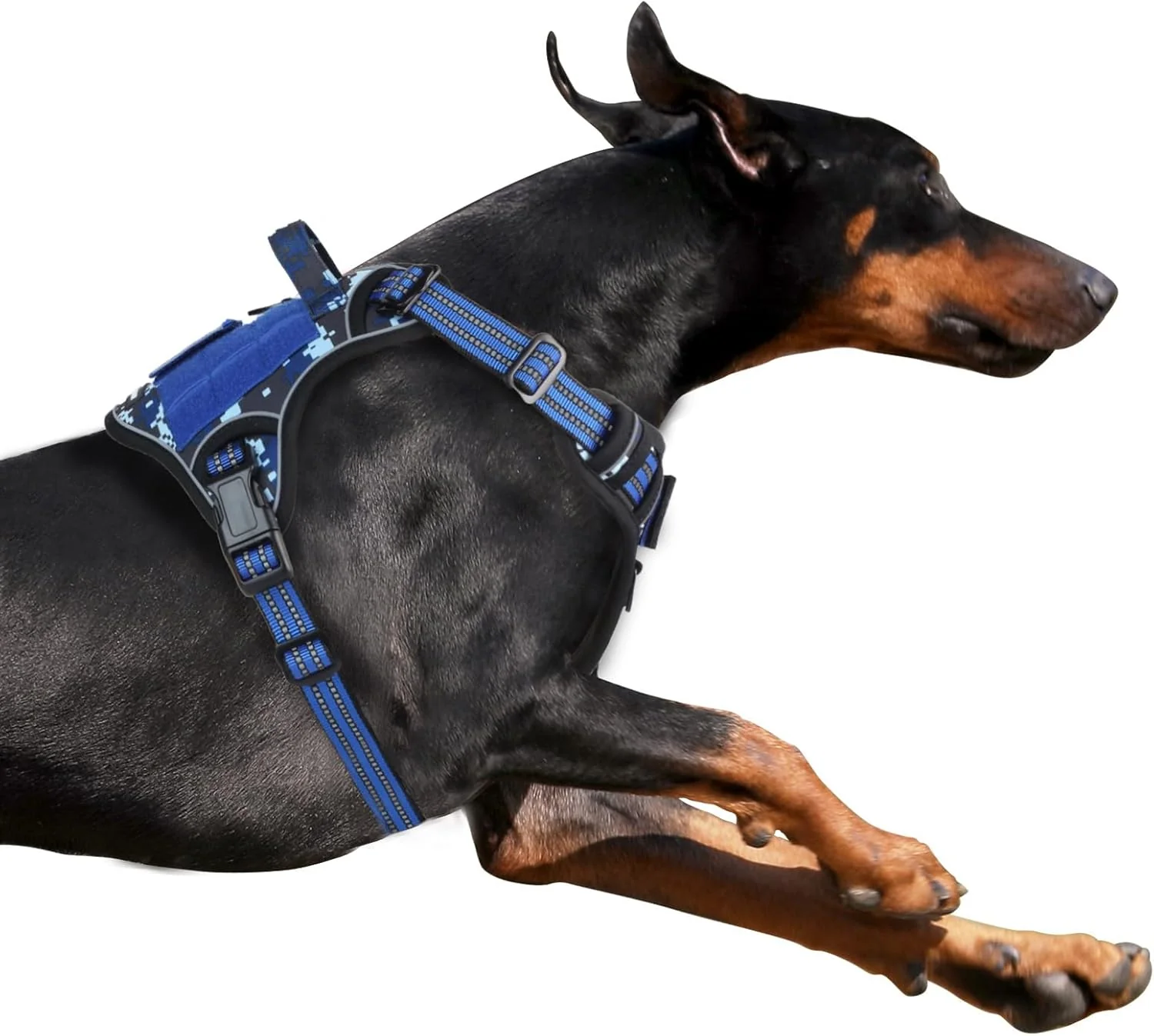 Crafted BUMBIN Tactical Dog Harness for Small Dogs No Pull Famous TIK Tok No Pull Puppy Harness Fit Smart Reflective Pet Walking Harness for Training Adjustable Dog Vest Harness with Handle Blue Camo XL Convenient