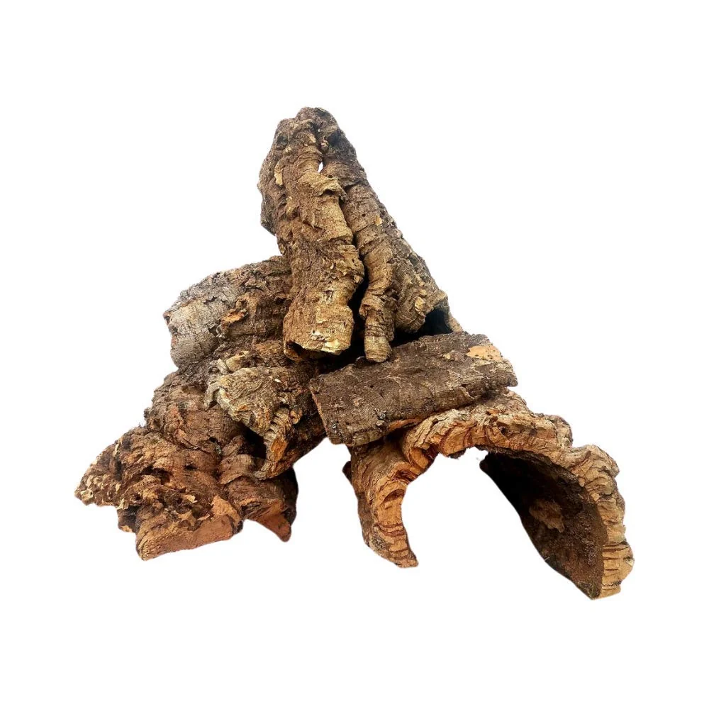 Powerful EZ Botanicals Cork Bark - 1lb Assorted for Orchids Airplants Reptiles Terrariums Fast