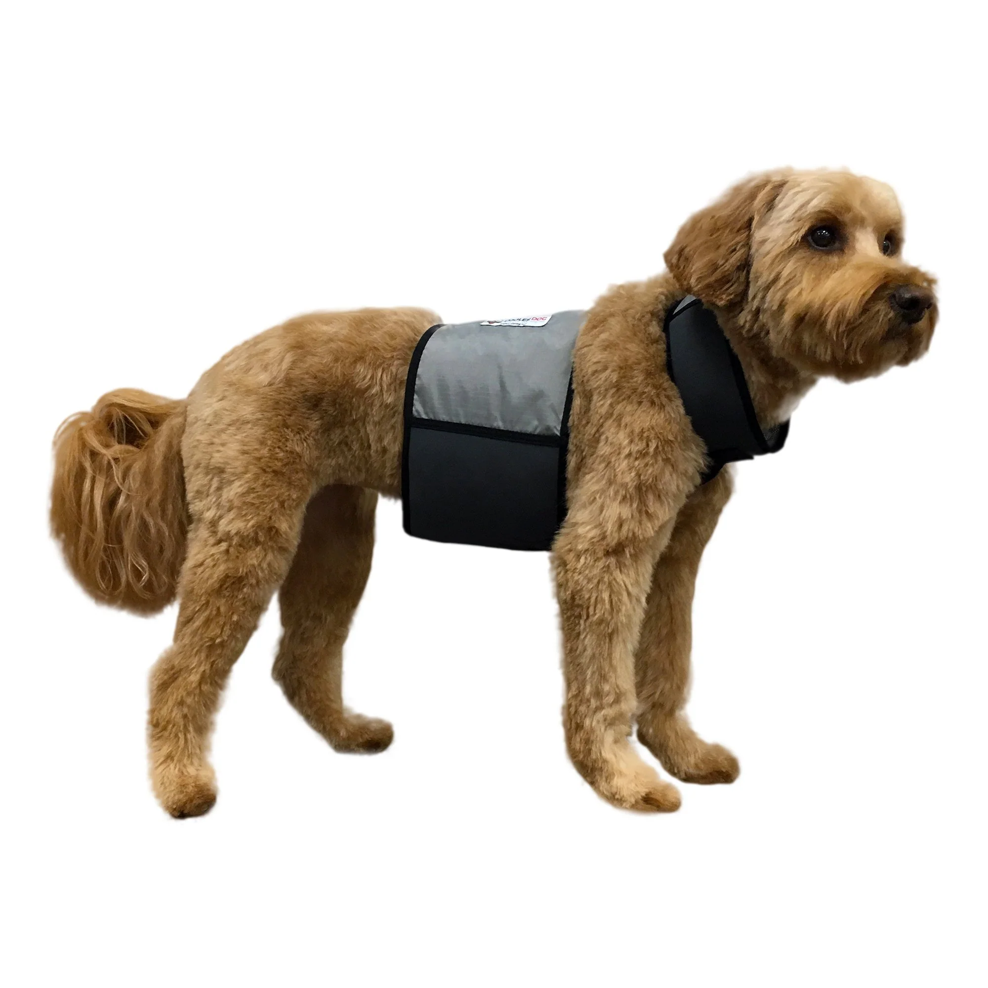 Premium Material CoolerDog Dog Cooling Vest Collar – Ice Vest for Dogs Medium 22–27 inch Girth Secure