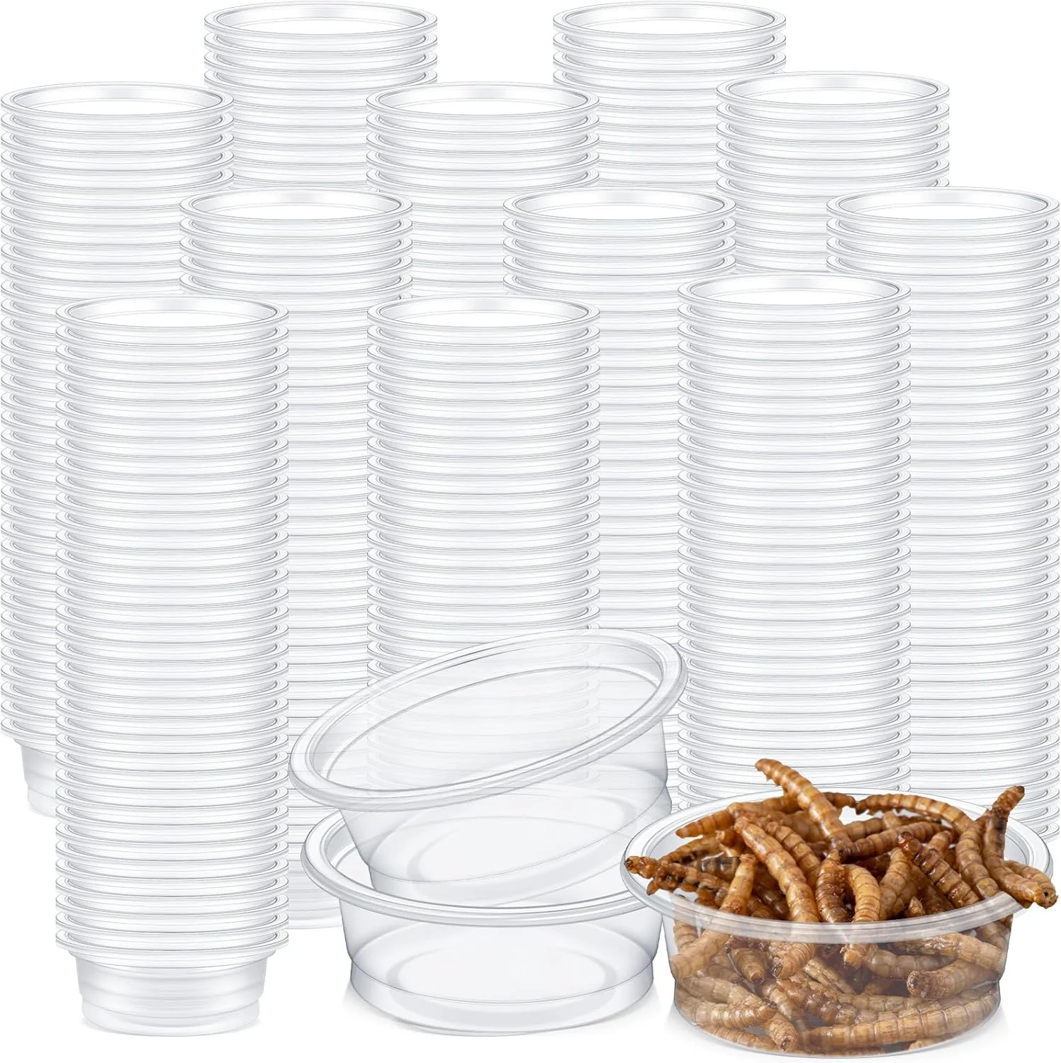 Exclusive Maxcheck 1000 Pcs 0.5 oz Gecko Feeding Cups Small Gecko Food and Water Cups Reptile Feeding Bowls Plastic Bearded Dragon Food Bowl for Lizard Small Pet Ledge Accessories Original