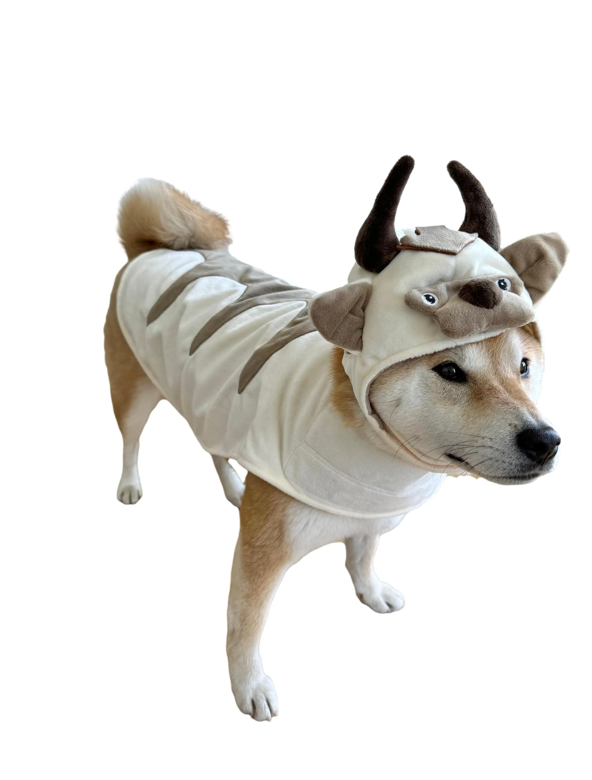 Refined ComfyCamper Oxen Dog Costume - Viking Hat Cape S-XL Soft