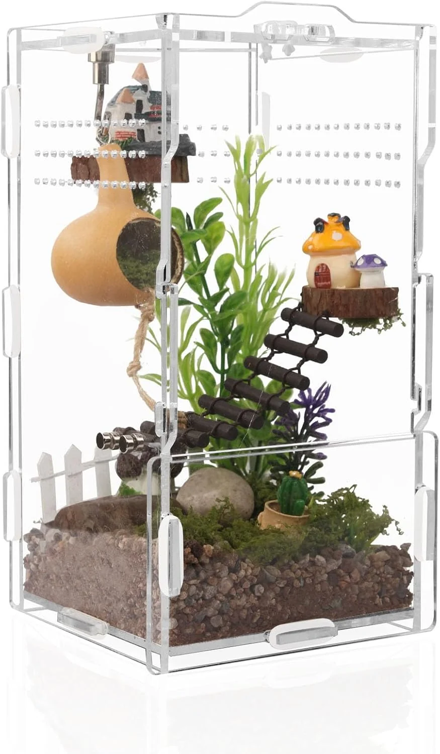 Powerful 8x4x4in Vertical Acrylic Jumping Spider Enclosure – Arbo Tarantula Reptile Terrarium for Sling Lizards Geckos Snails Optimized