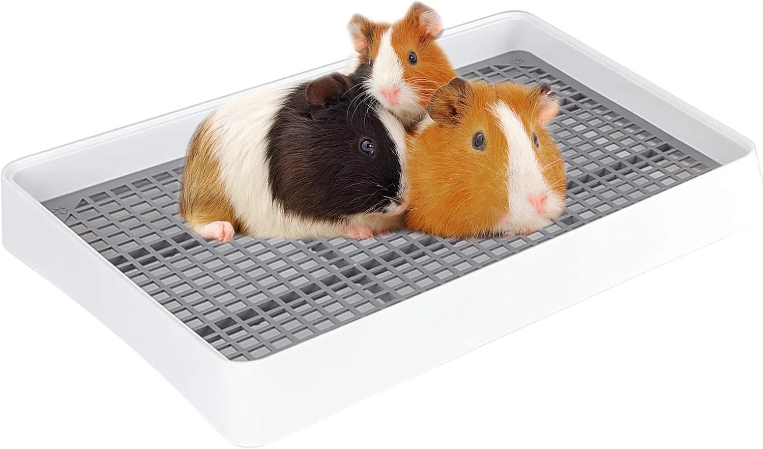 Functional FHTONGE Guinea Pig Litter Box for Cage Guinea Pigs Litter Pan with Grid Rectangular Small Amimal Potty Trainer Tray Pet Toilet for Rat Chipmunk Chinchilla Hedgehog Hamster Ferret Rabbit Refined