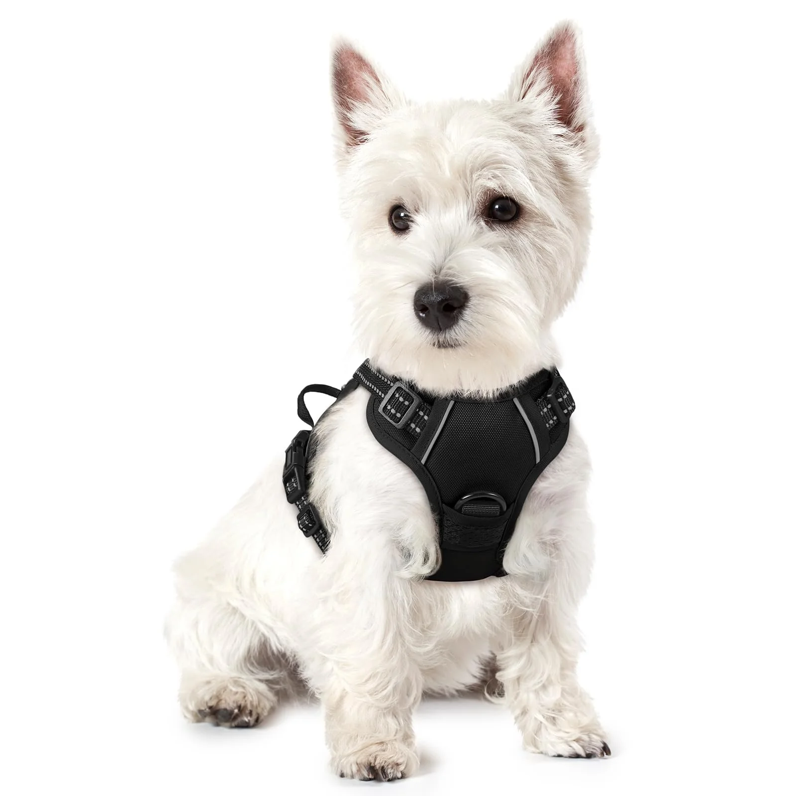 Next-Generation rabbitgoo Dog Harness No Pull with 2 Leash Clips — Adjustable Reflective XS Superior