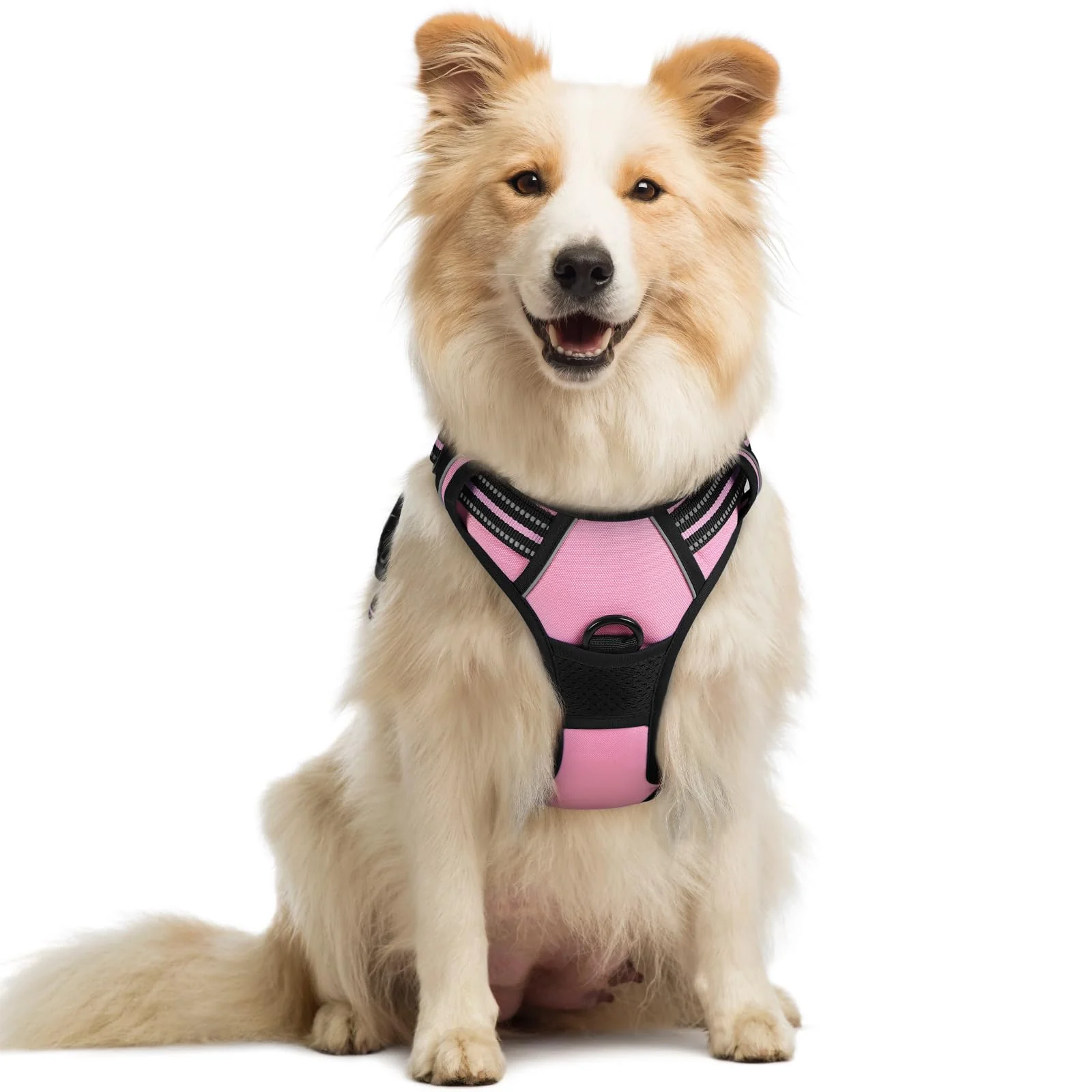Prestigious Rabbitgoo No-Pull Dog Harness with 2 Leash Clips – Pink Adjustable Padded Reflective for Medium Dogs Excellent