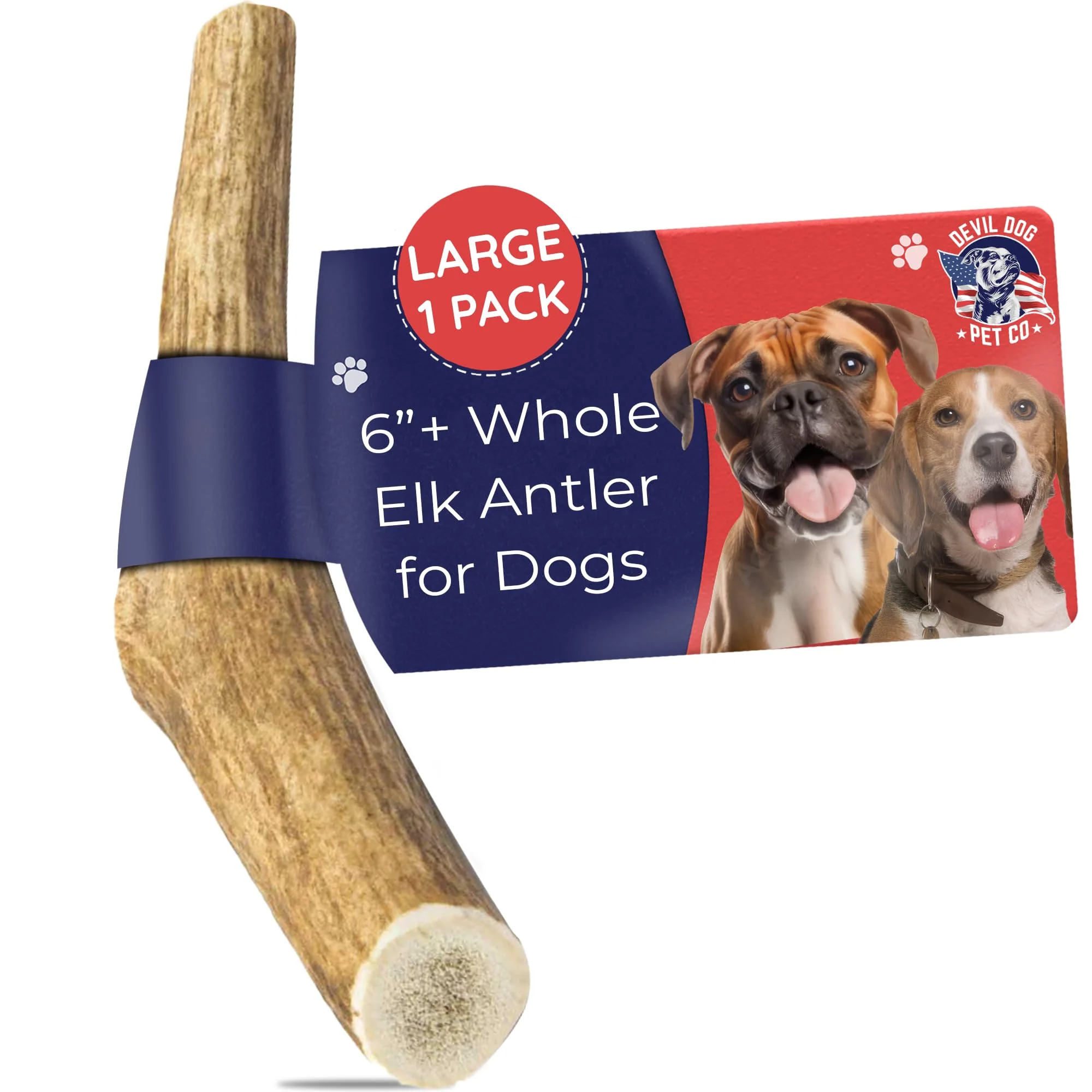 Unique Devil Dog Pet Co. Elk Antlers for Dogs - Large 6-inch Premium USA Naturally Shed Chew Environmentally Friendly
