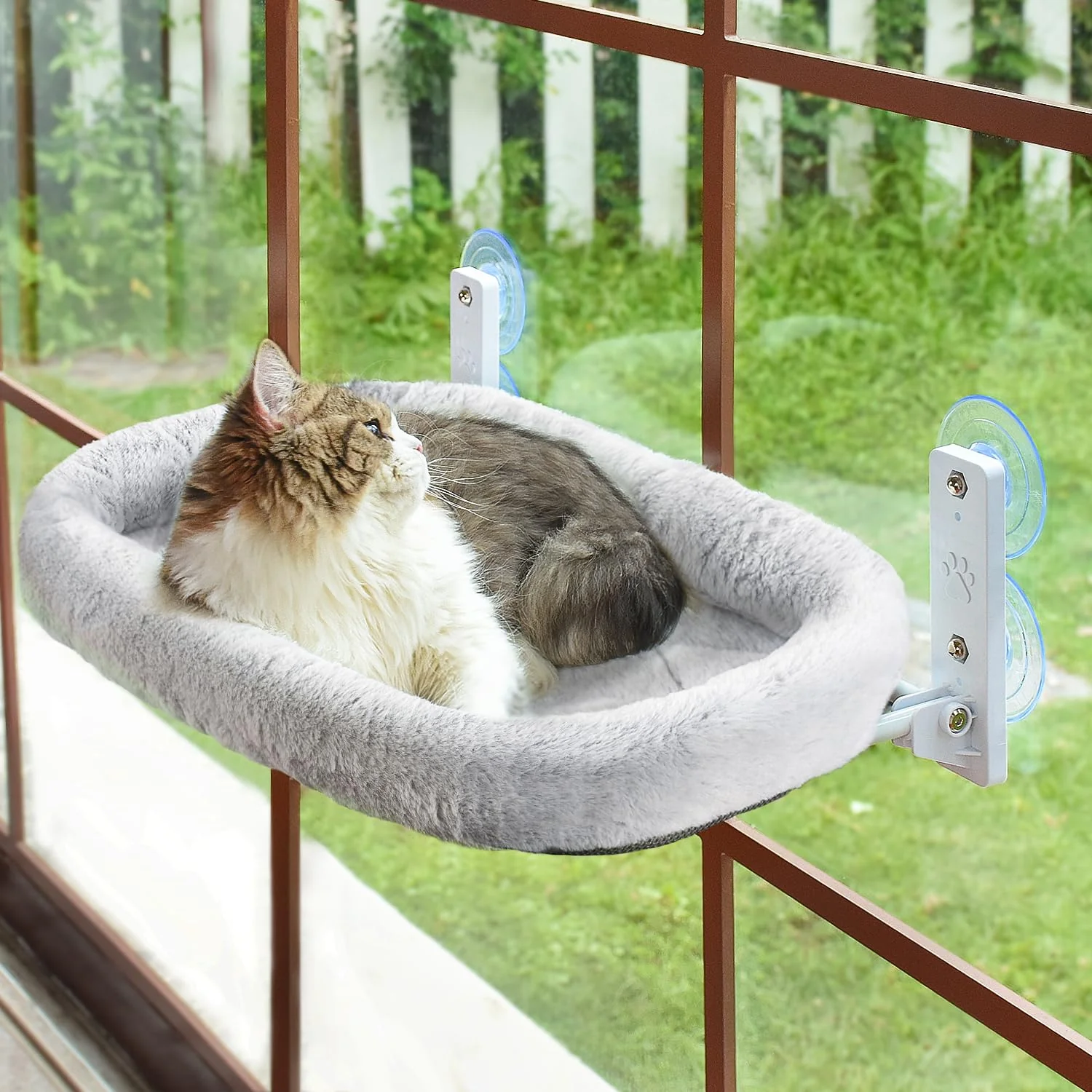 Luxury AMOSIJOY Cordless Cat Window Perch – 4 Suction Cups Solid Metal Frame Foldable Bed Gray Exceptional