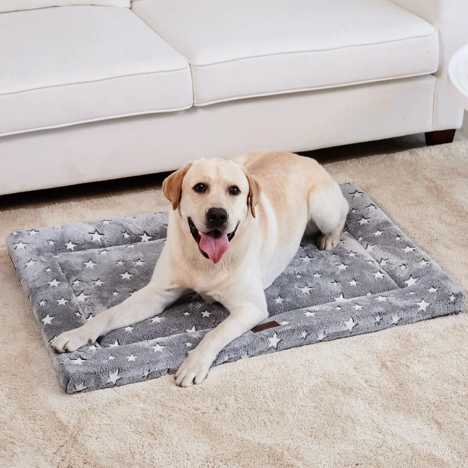Genuine WESTERN HOME Dog Bed for Crate – High-Resilience Foam Anti-Slip Washable Functional