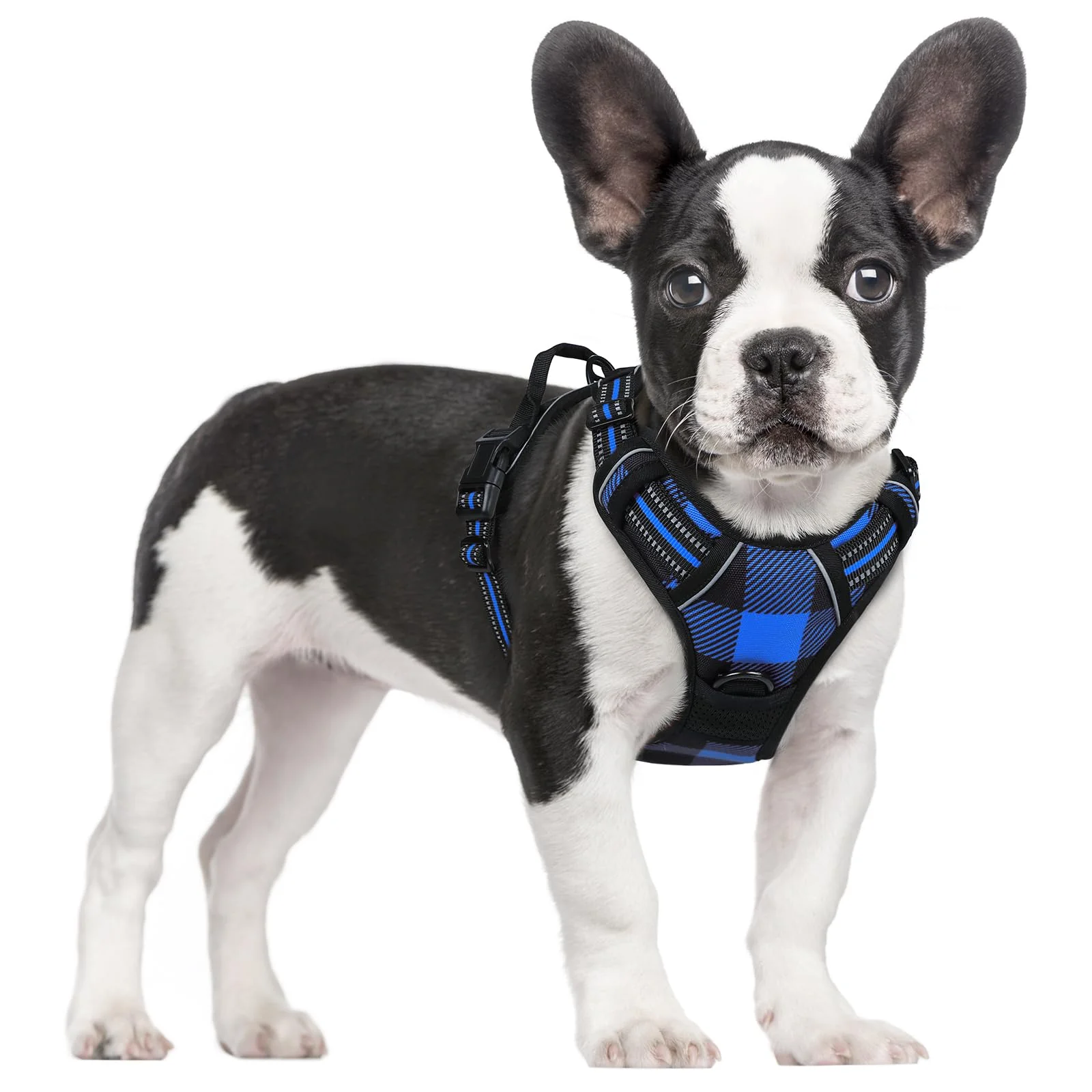 Responsible rabbitgoo No-Pull Dog Harness with Handle – Padded Blue Plaid Reflective 2 Leash Clips Size S Artisan
