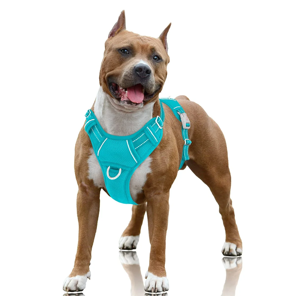 Responsible BARKBAY No-Pull Dog Harness Large Ocean Blue – Front Clip Reflective Strips ID Pocket Powerful