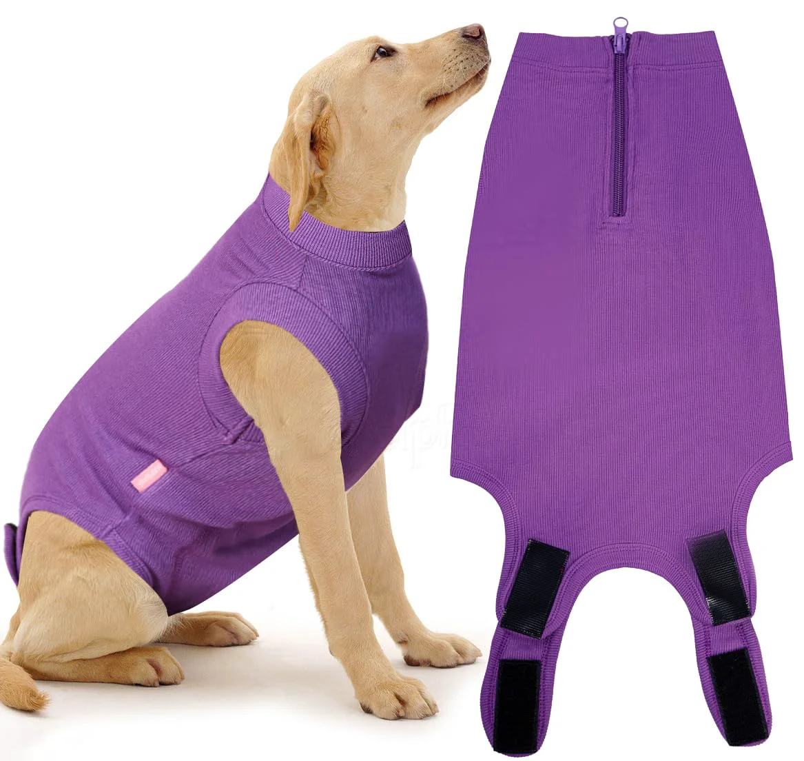 Refined Wabdhaly Recovery Suit for Dogs – Zipper Surgery Suit Cone for Female Spay Sophisticated