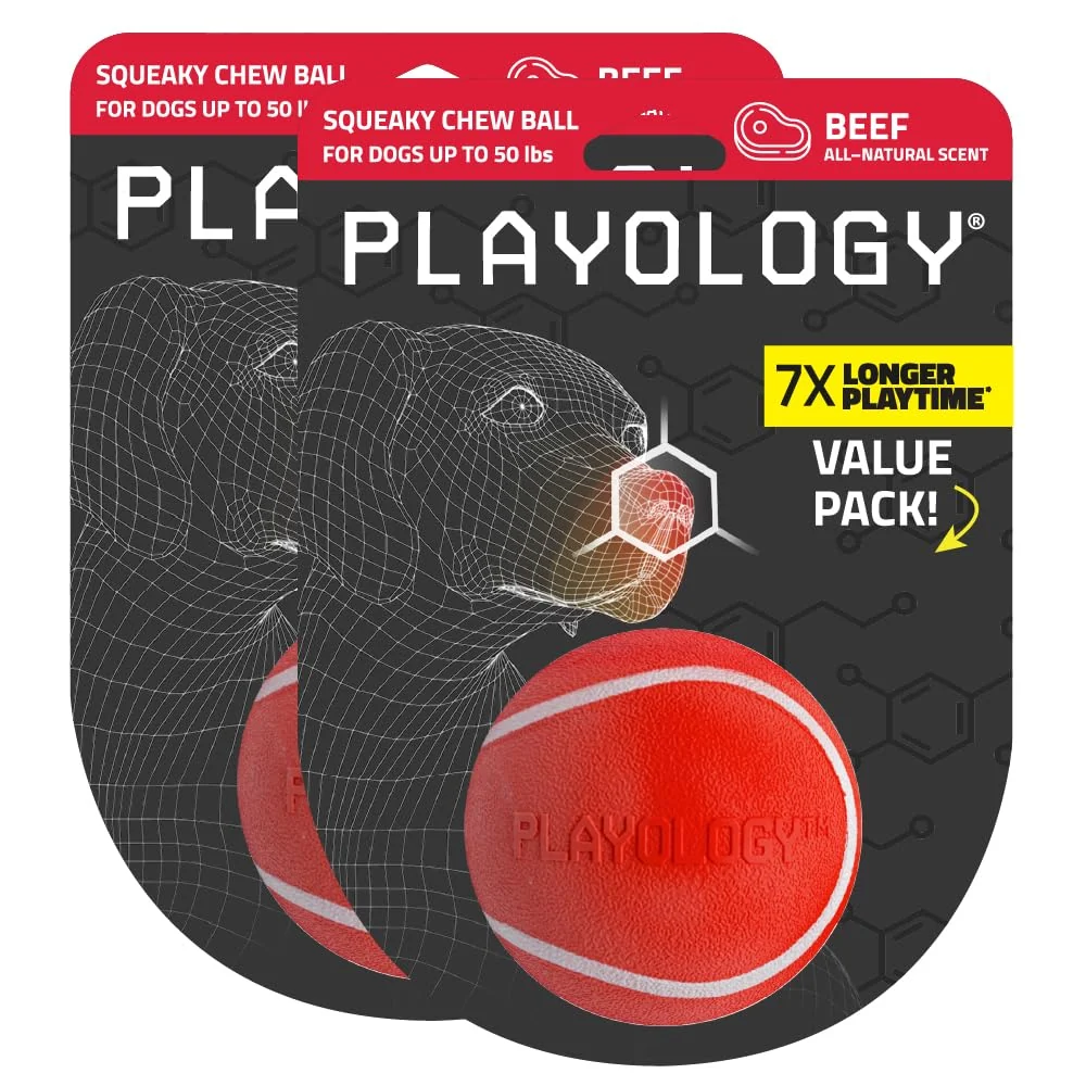 Consistent Playology Squeaky Chew Ball – 2-Pack Medium Beef-Scented Floating Dog Toy Functional