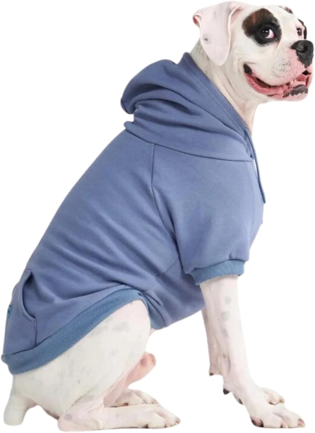 Fine Crafted Spark Paws Dog Hoodie – Premium Dog Sweater for Small Medium and Large Dogs Warm Outfits for French Bulldogs Pitbull Puppy Winter Jacket - Slate Blue - 2XL Relaxed