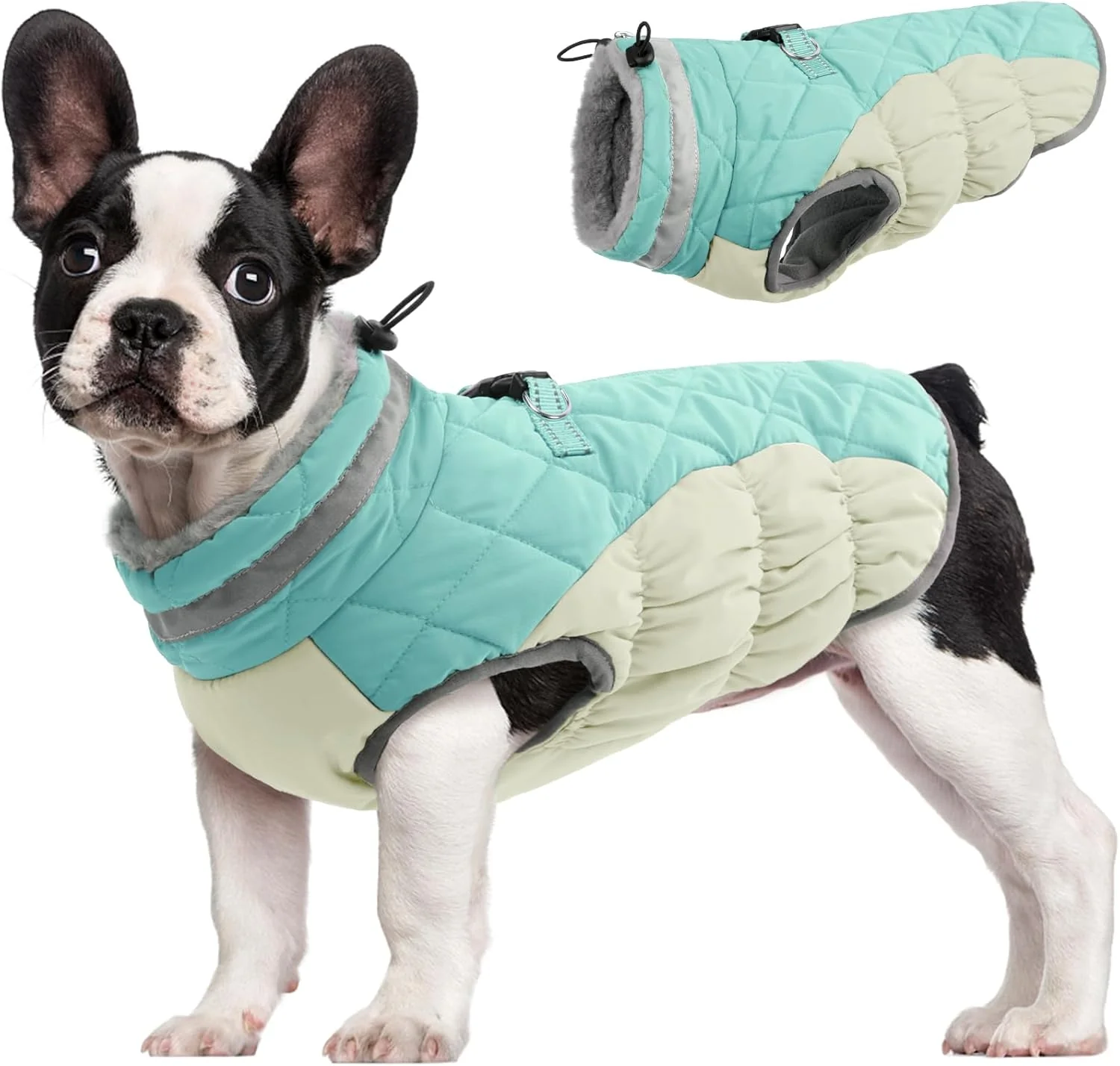 Traditional FUAMEY Dog Coat for Small Dogs Waterproof Dog Winter Jacket with Harness Built in Puppy Cold Weather Coats Reflective Pet Vest with Zipper Warm Fleece Dogs Snowsuit Windproof Mint Green XS Powerful