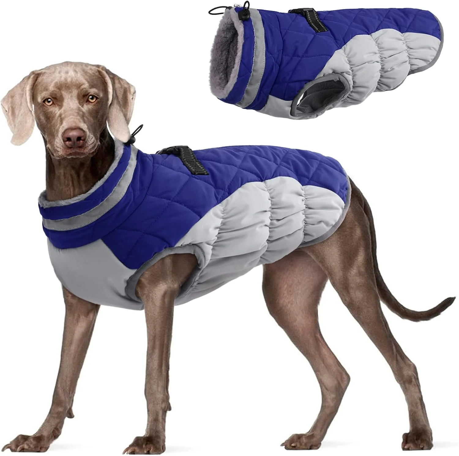 Official FUAMEY Dog Coat for Large Dogs Waterproof Dog Winter Jacket with Harness Built in Puppy Cold Weather Coats Reflective Pet Vest with Zipper Warm Fleece Dogs Snowsuit Windproof Blue XL Premium Material