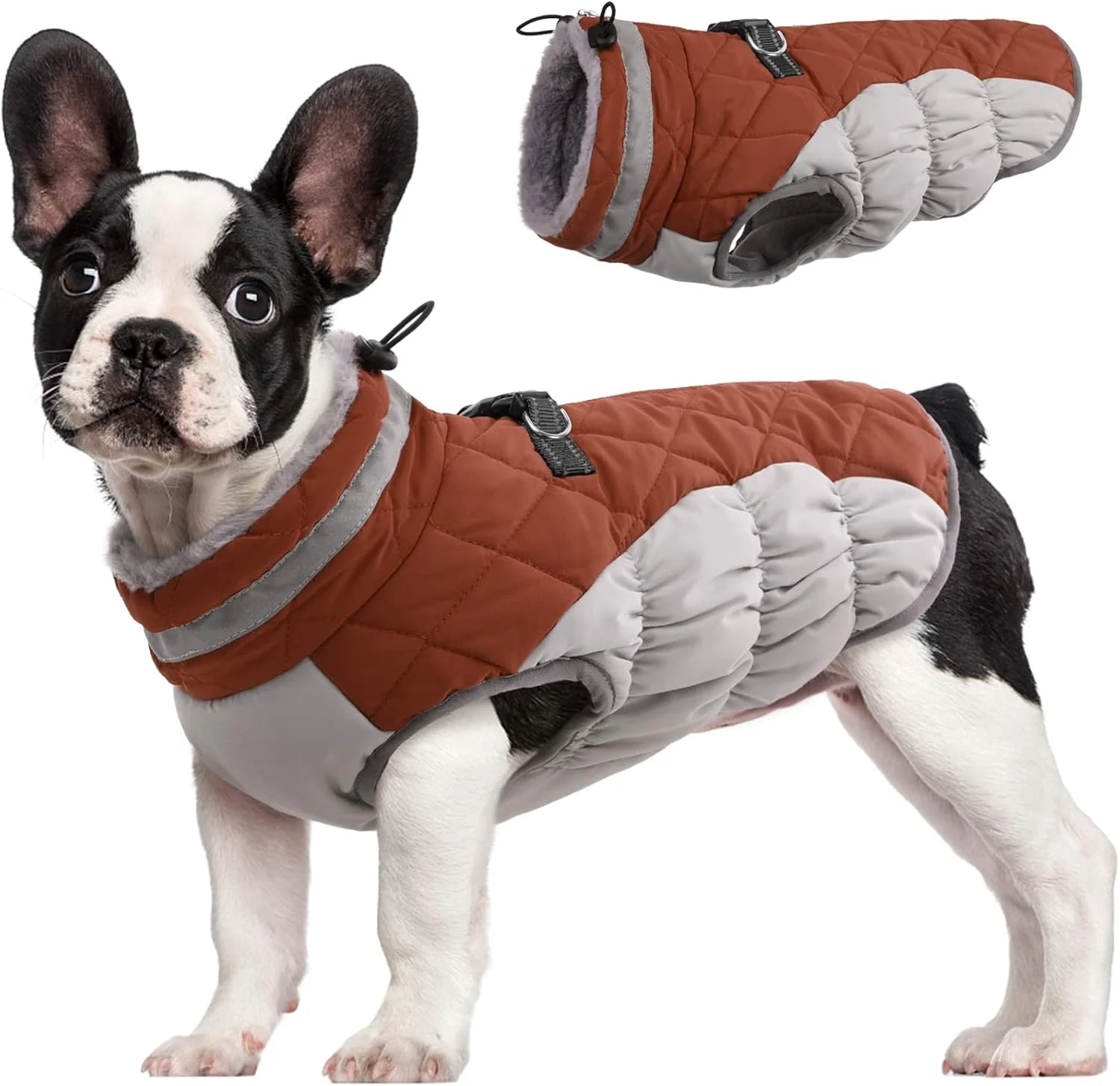 Elegant FUAMEY Dog Coat for Small Dogs Waterproof Dog Winter Jacket with Harness Built in Puppy Cold Weather Coats Reflective Pet Vest with Zipper Warm Fleece Dogs Snowsuit Windproof Brown XS Unique