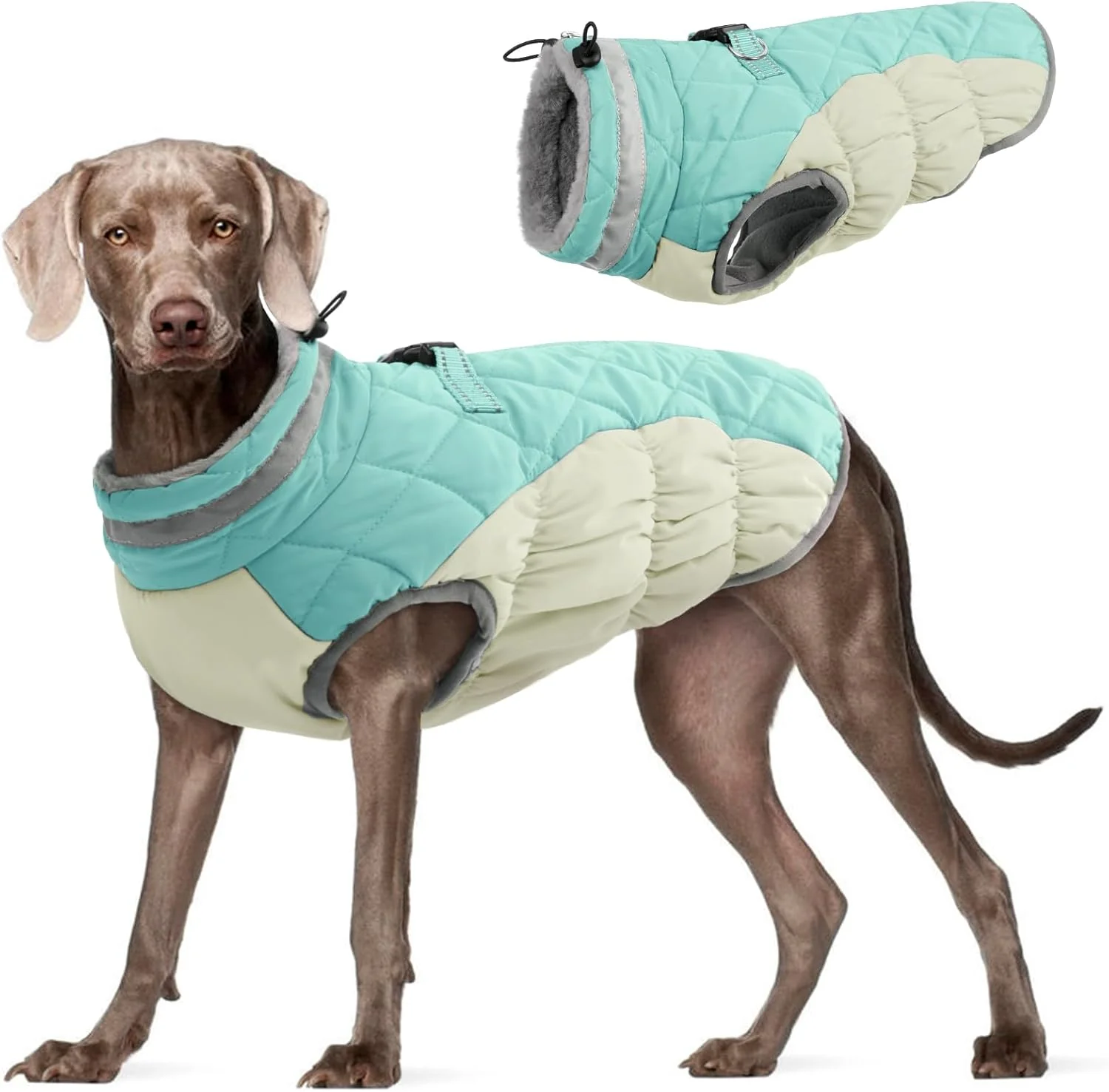Environmentally Friendly FUAMEY Dog Coat for Large Dogs Waterproof Dog Winter Jacket with Harness Built in Puppy Cold Weather Coats Reflective Pet Vest with Zipper Warm Fleece Dogs Snowsuit Windproof Mint Green XXL Efficient