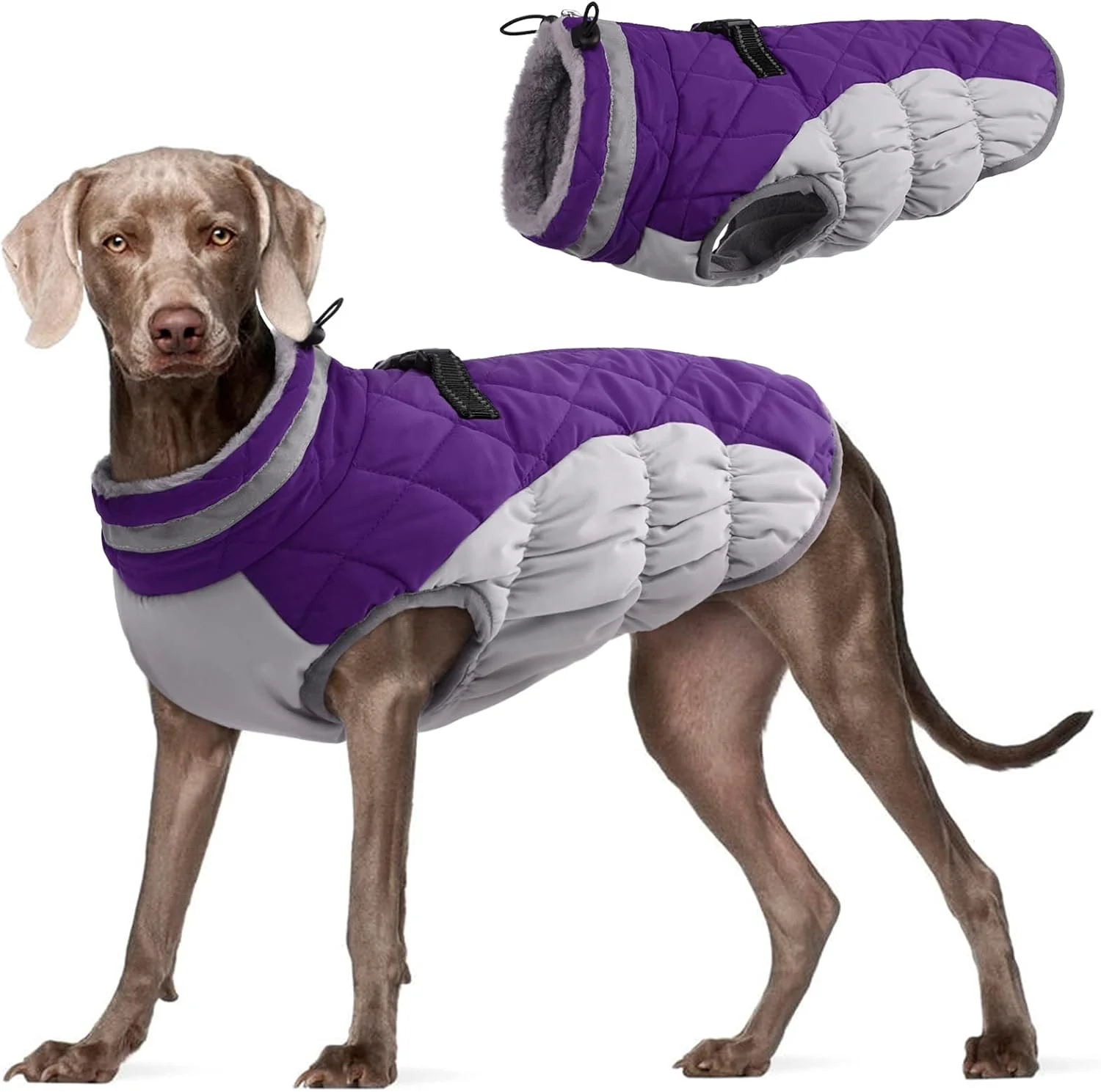 Environmentally Friendly FUAMEY Dog Coat for Large Dogs Waterproof Dog Winter Jacket with Harness Built in Puppy Cold Weather Coats Reflective Pet Vest with Zipper Warm Fleece Dogs Snowsuit Windproof Purple XXXL Fast