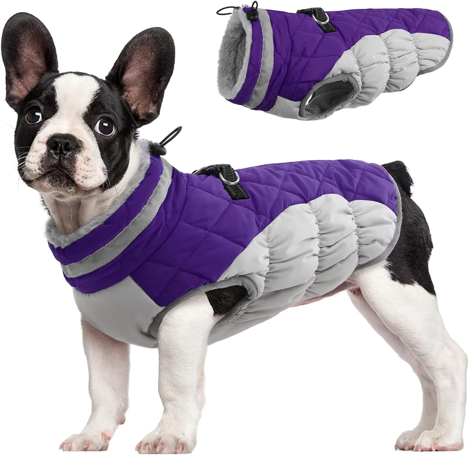 Superior FUAMEY Dog Coat for Small Dogs Waterproof Dog Winter Jacket with Harness Built in Puppy Cold Weather Coats Reflective Pet Vest with Zipper Warm Fleece Dogs Snowsuit Windproof Purple XS Carefully Designed