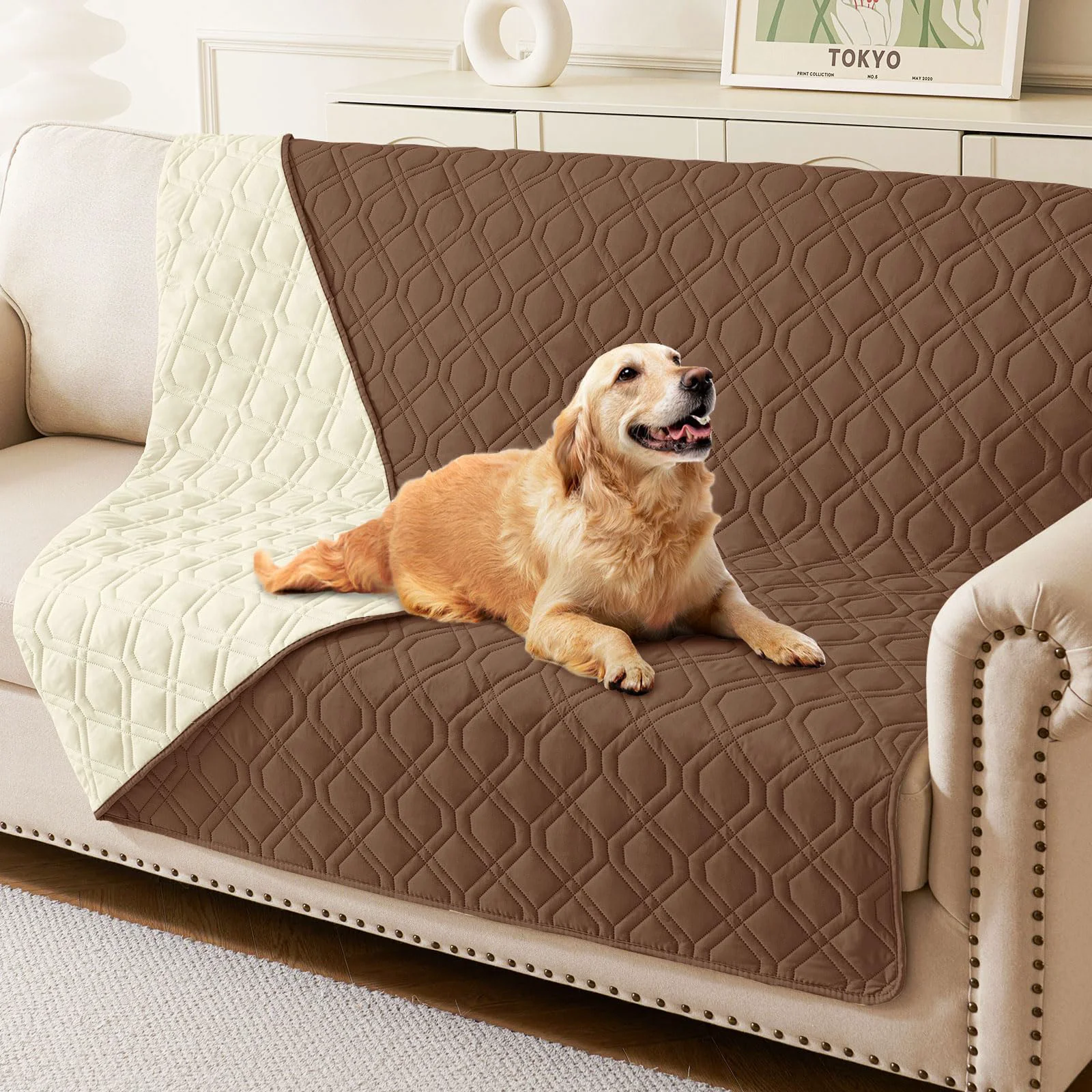 Flexible hyha Waterproof Dog Bed Blanket 52x82 in – Reversible Washable Couch Cover Next-Generation
