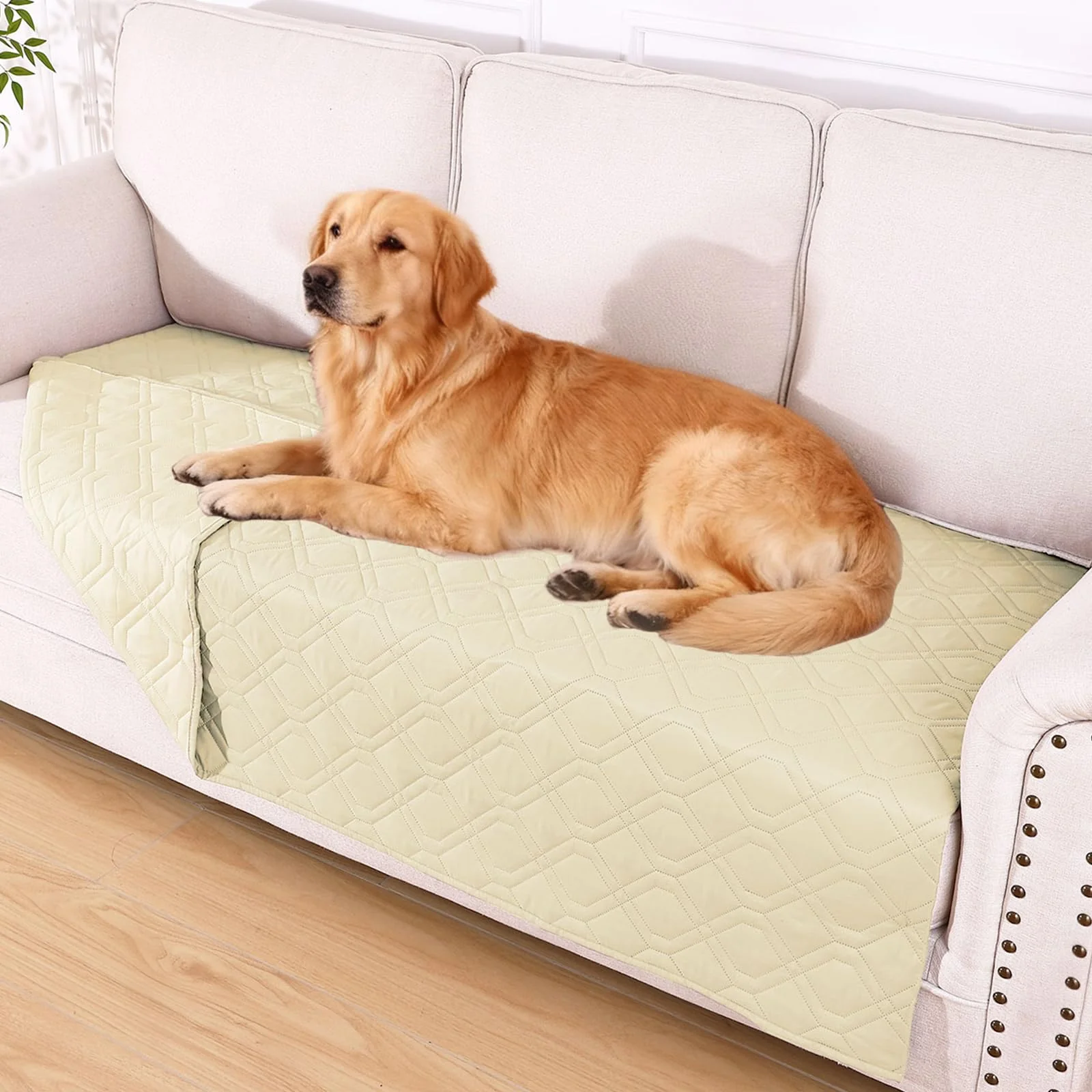 Efficient hyha Waterproof Dog Bed Blanket Dual Waterproof Reversible Sofa Cover 40x70 Beige Soft