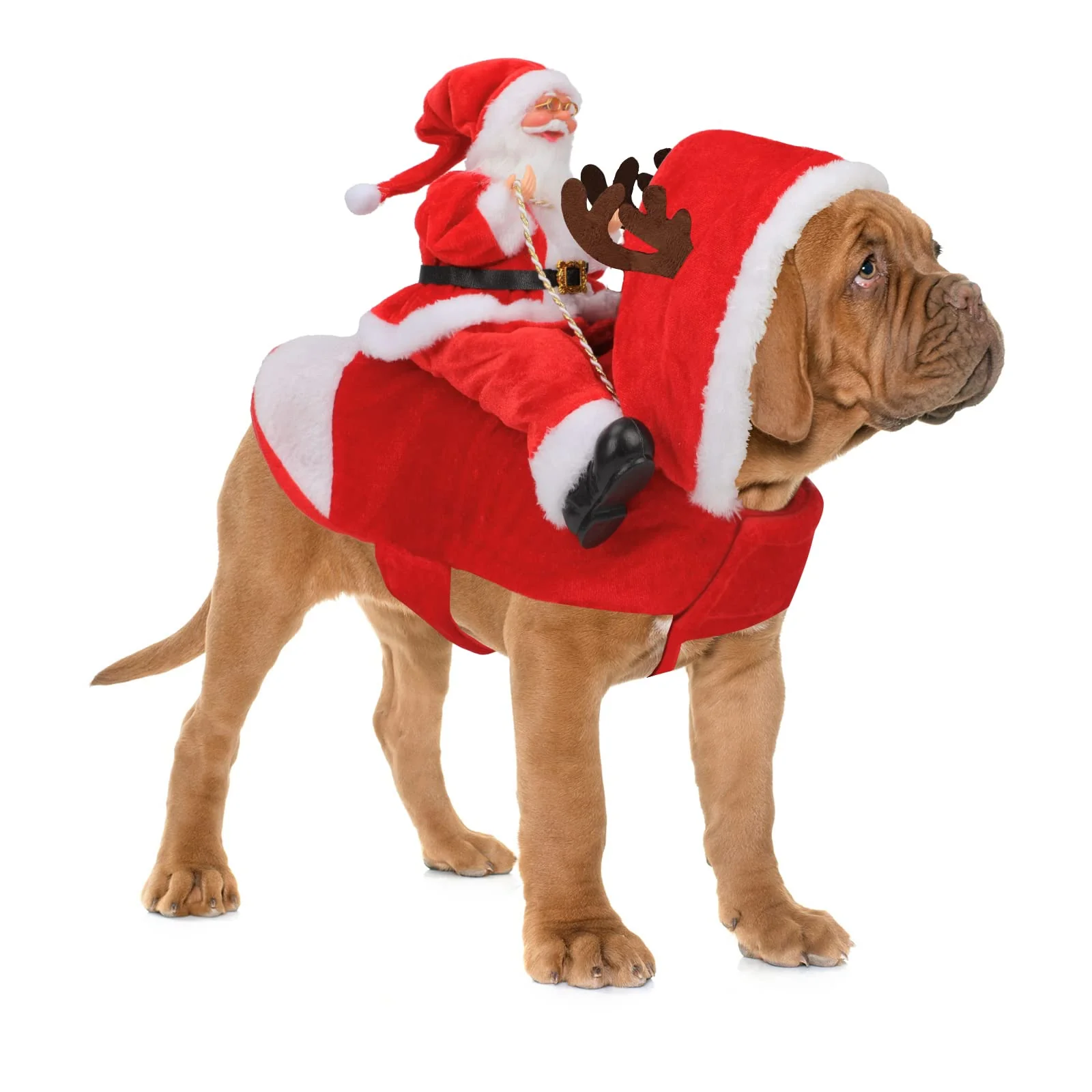 Next-Generation BWOGUE Santa Dog Costume - Christmas Pet Clothes Santa Claus Riding Outfit for Dogs Cats Green